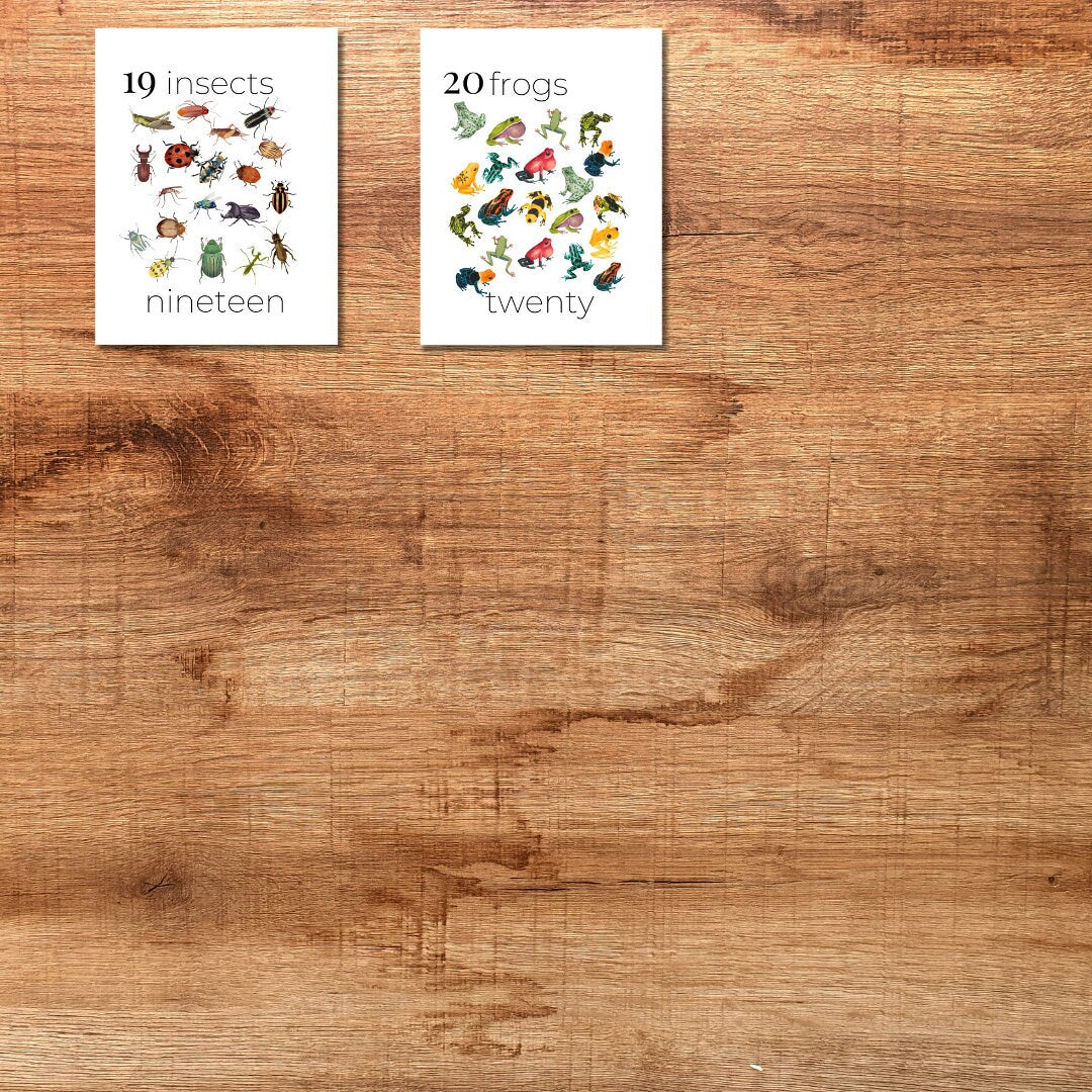 Nature Number Cards 1-20 Classroom Math Counting Cards Nursery Wall Art Montessori Pre K Homeschool Activities Classroom Nature Aesthetic