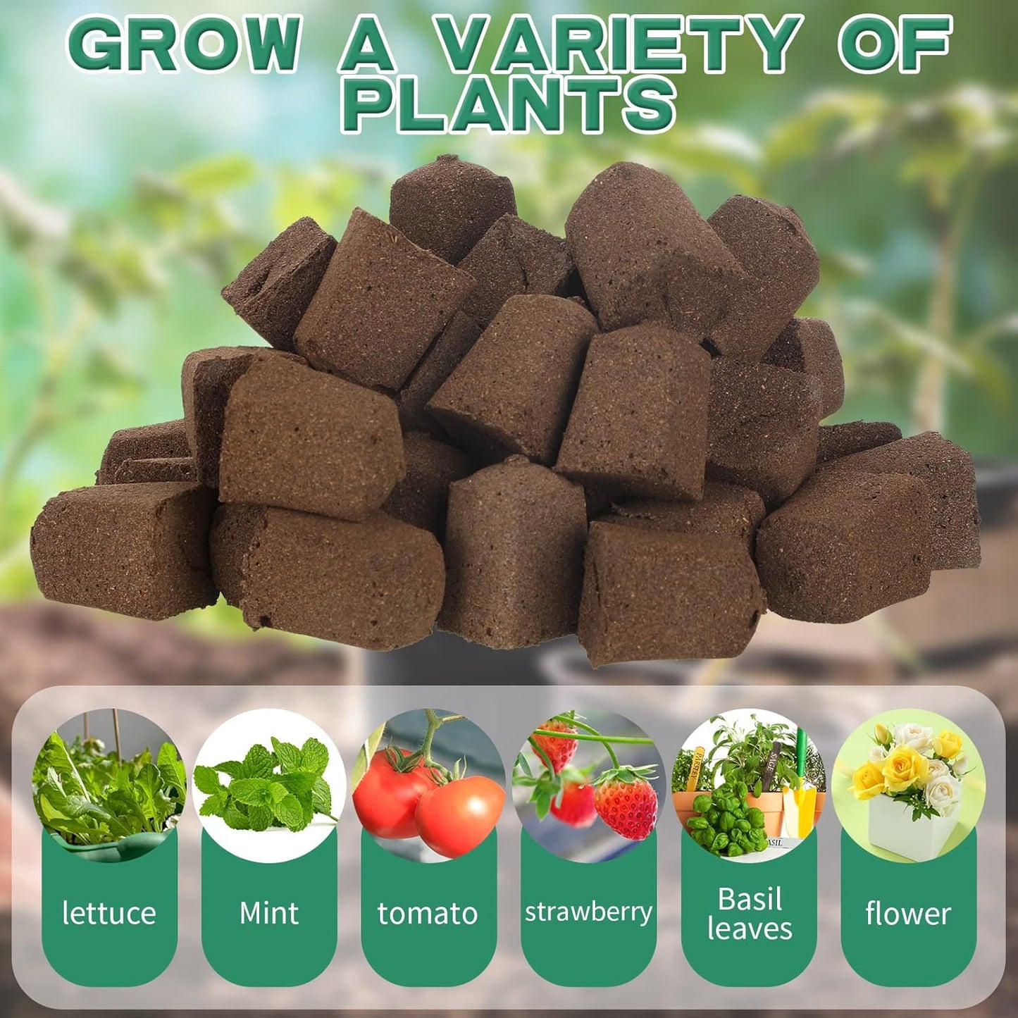 Hydroponic Sponges Grow Starter Pods Organic Growth Sponge Starter Plugs for Plant Cloning Growing (50 Pcs)