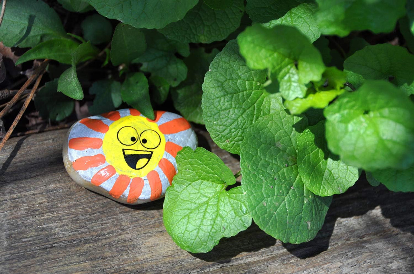 Hide and Seek Rock Painting Kit - Arts and Crafts for Kids Ages 6-8+, Gifts for Kids, Craft Kit with 10 Rocks and Waterproof Paint, Small
