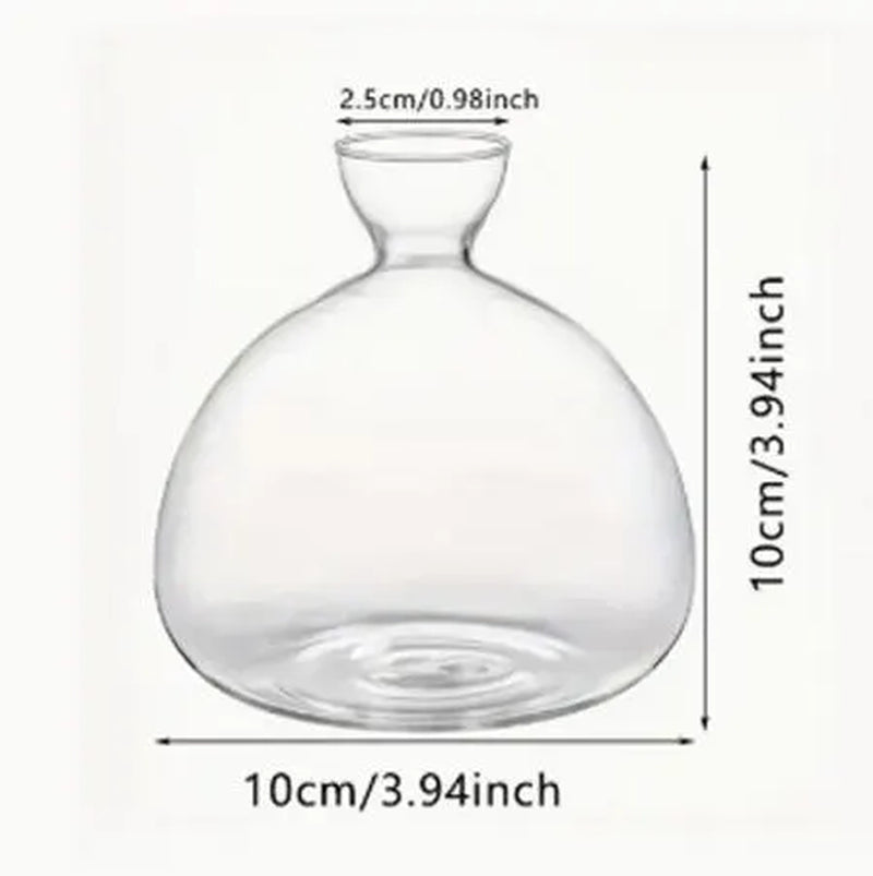 Acorn Vase Seed Holder Jar, Grow Your Own Oak Tree Seed in a Glass Vessel, Germination Starter
