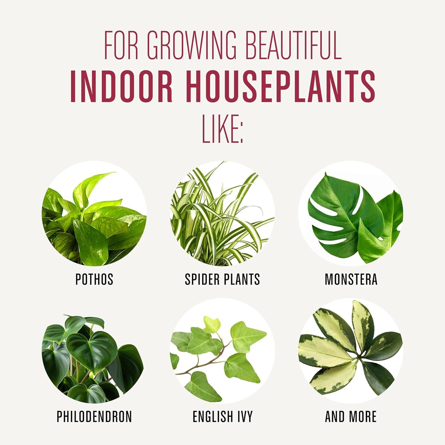 Houseplant Potting Mix: Fertilized, Perlite Soil for Indoor Gardening, Designed to Be Less Prone to Gnats, 4 qt.