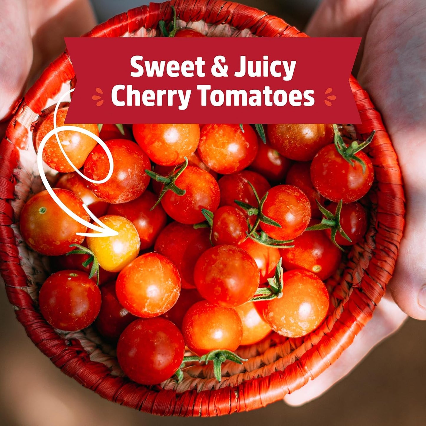 Cherry Tomato Organic Windowsill Planter Kit - Grows Year Round, Includes Everything Needed for Planting