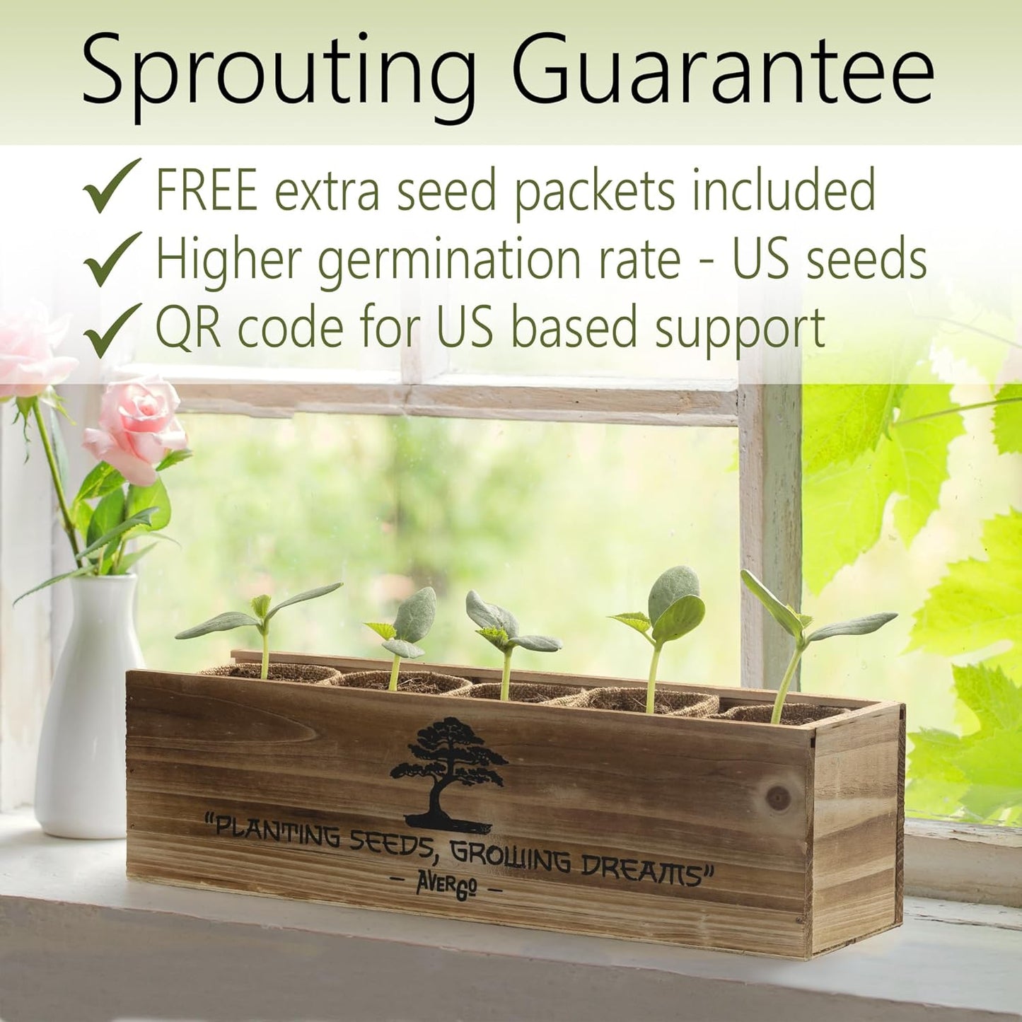 Bonsai Tree Kit – 5X Unique Japanese Bonzai Trees | Complete Indoor Starter Kit for Growing Bonsai Plants with Tools & Planters – Gardening Gifts for Women & Men