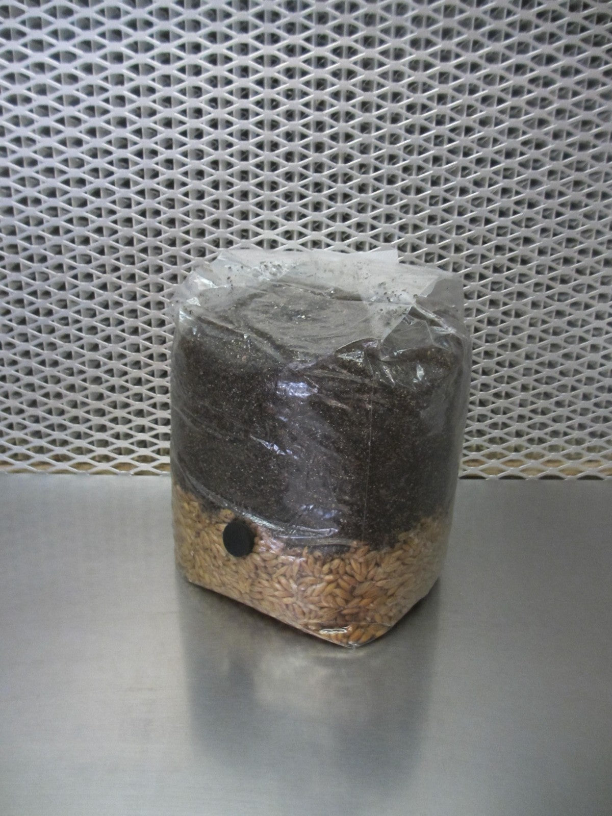 All In One LARGE 4 LB Mushroom Grow Bag - Dung Lovers Substrate & Injection Port