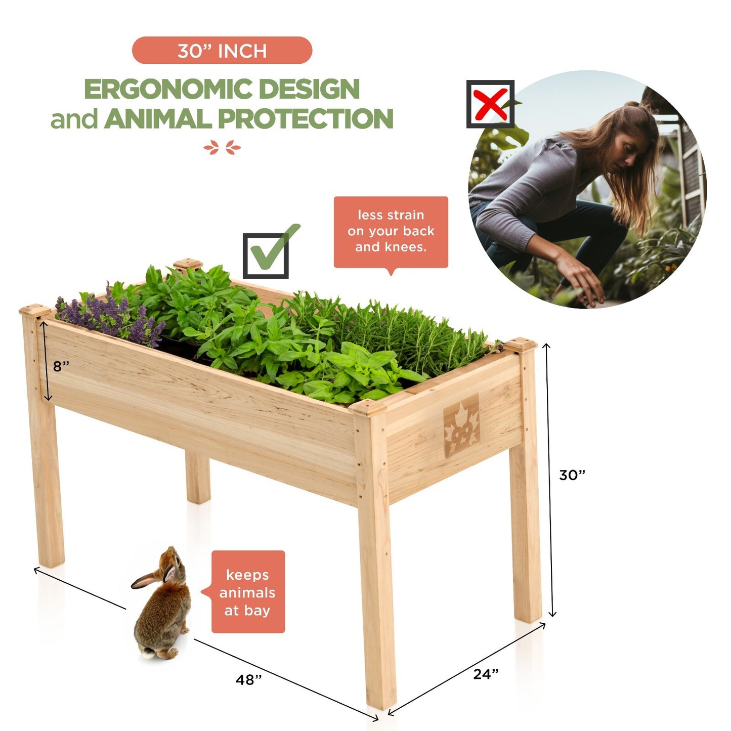 Raised Garden Bed - Elevated Wood Planter Box with Bed Liner