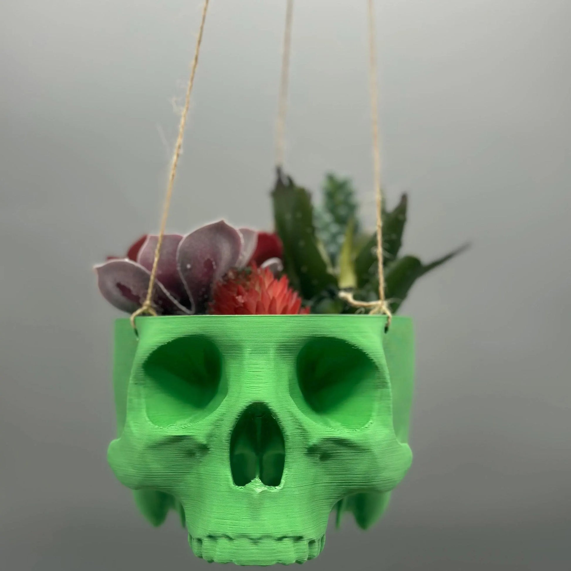 Skull Hanging Planter Pot, hanging kit included - Succulent Planter - 3D Printed - skull planter pot - halloween decor - Plant Horror Gothic