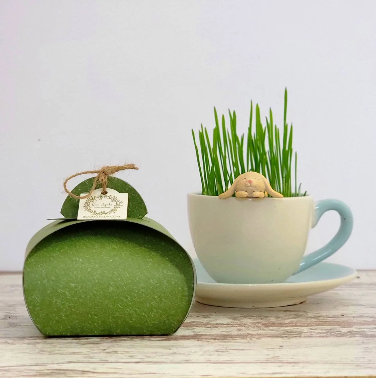 Adorable DIY Bunny Terrarium Kit by , Easter Basket Stuffer, Kids Plant Set with Wheatgrass Seeds, Fun Spring Science Craft or Gift
