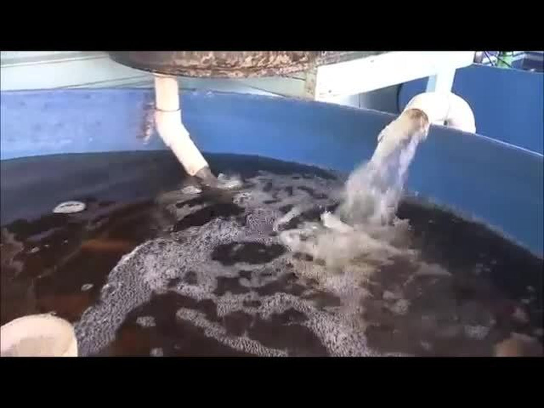 Hydroponics Aquaponics, Aquaculture Soilless Growth Raising Plants Fish DVD V66