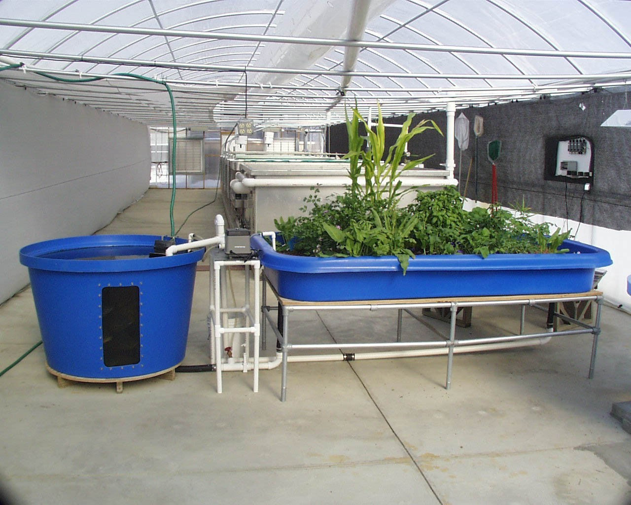 Hydroponics Aquaponics CD Aquaculture Soilless Growth Raising Plants Fish 80 bks