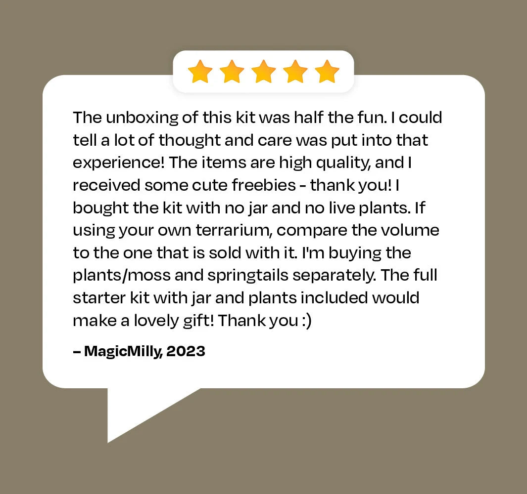Large Terrarium Kit DIY / live Moss / Tropical Plant, bioactive terrarium, Holiday, birthday gift, Halloween gift, stem kit for kids