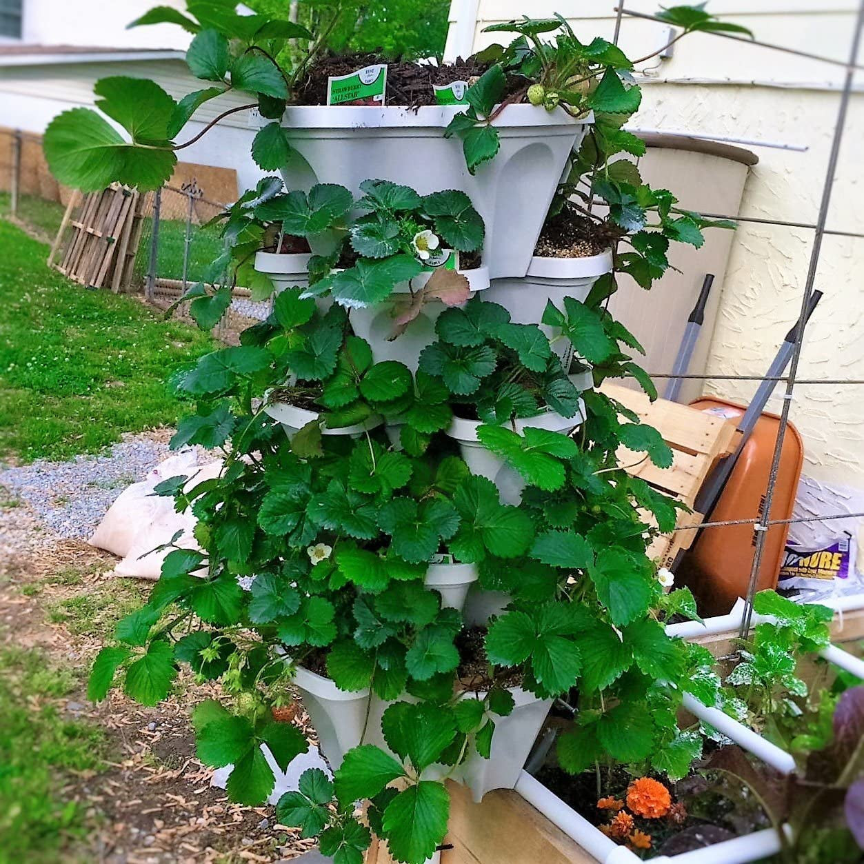 5 Tiered Vertical Gardening Planter, Indoor & Outdoor