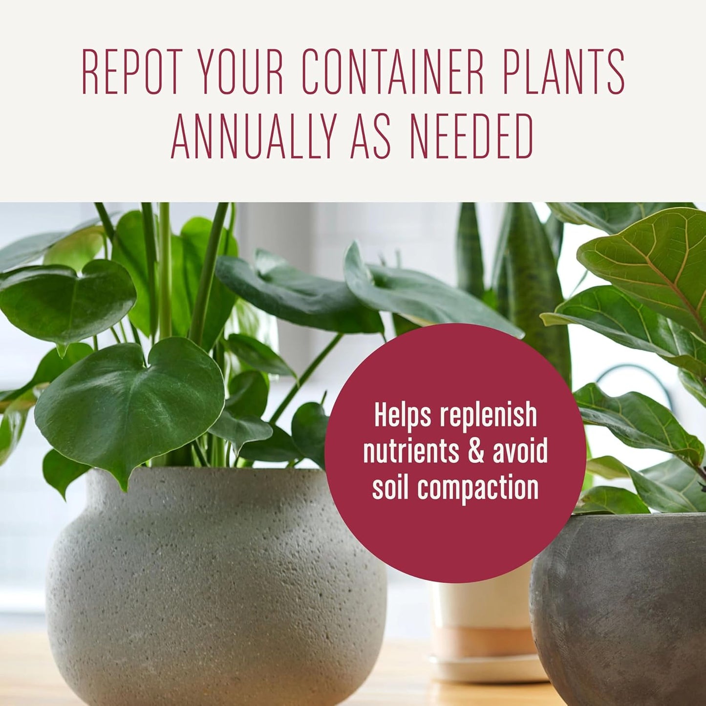 Houseplant Potting Mix: Fertilized, Perlite Soil for Indoor Gardening, Designed to Be Less Prone to Gnats, 4 qt.