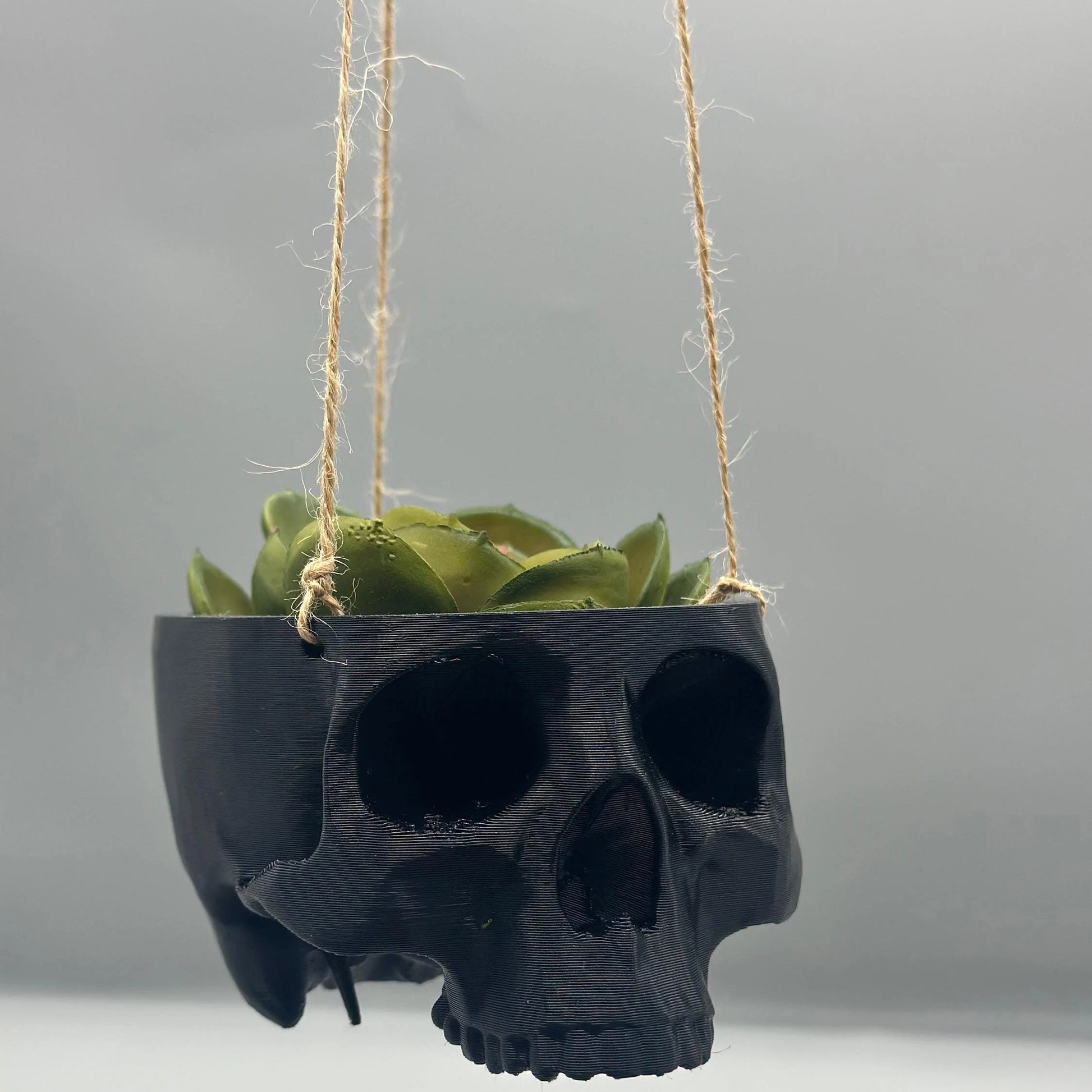 Skull Hanging Planter Pot, hanging kit included - Succulent Planter - 3D Printed - skull planter pot - halloween decor - Plant Horror Gothic