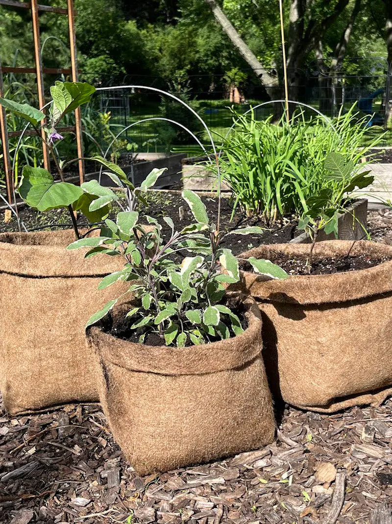 Hemp Material Pot Planter: Eco-Friendly Grow Bag