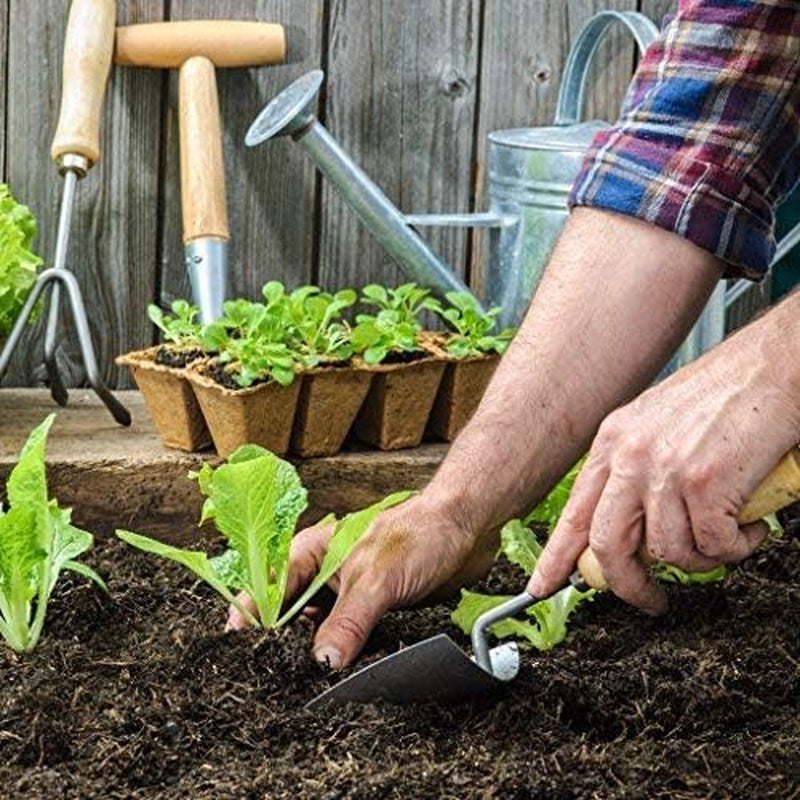 2" Naked Pots Seedling Trays | Natural Plantable Seed Starter Trays | OMRI-Listed Biodegradable | Earth Friendly Contains No Peat | 100 Cell 2 Inch Tray (100, 2 Inch Tray)
