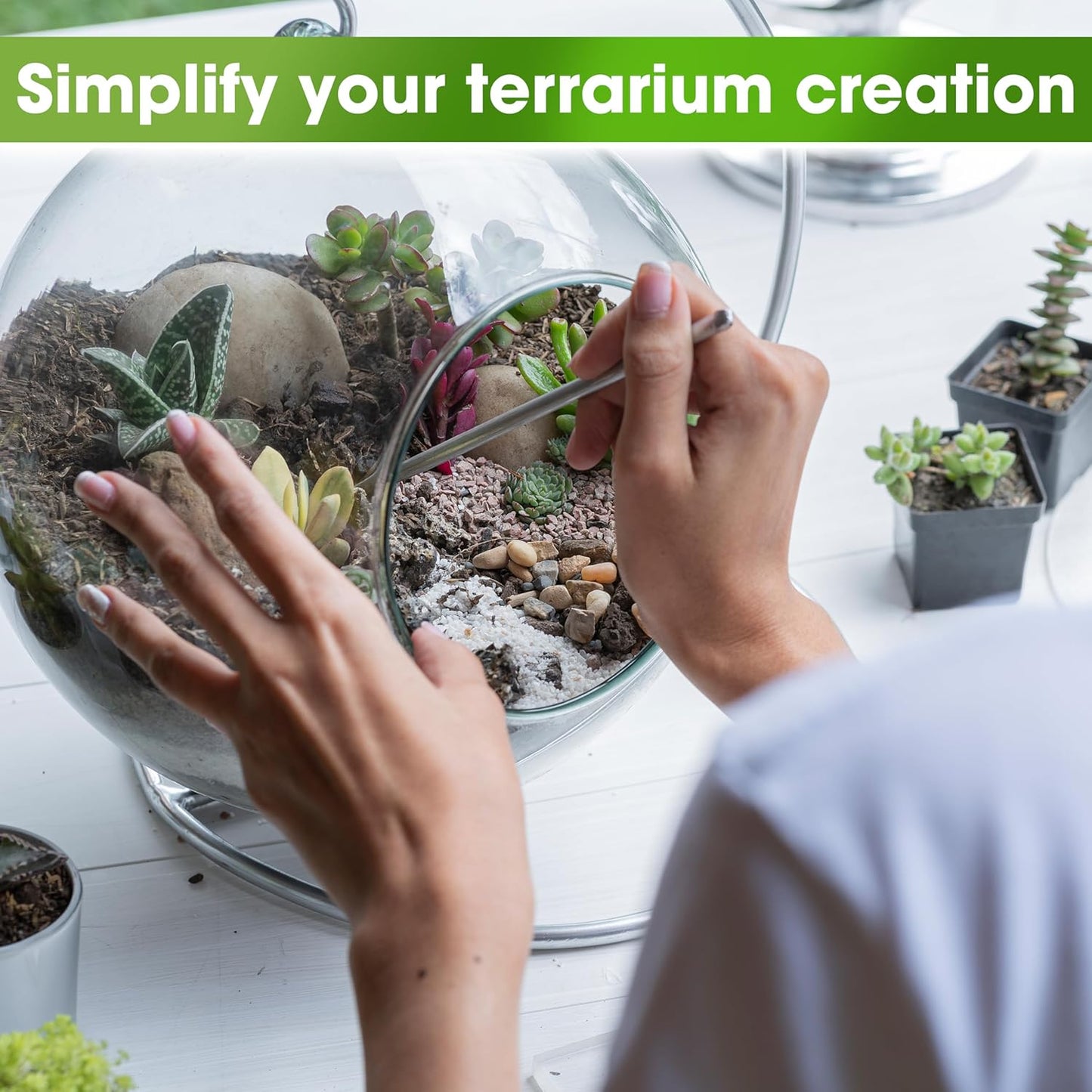 Recycle Terrarium Kit, Include Terrarium Potting Soil, Pumice, Zeolite, Green Moss, Sphagnum Moss, Decorative Stone, Mesh, Tools, DIY Terrarium Starter Kit for Kids, Air Plant, Succulent