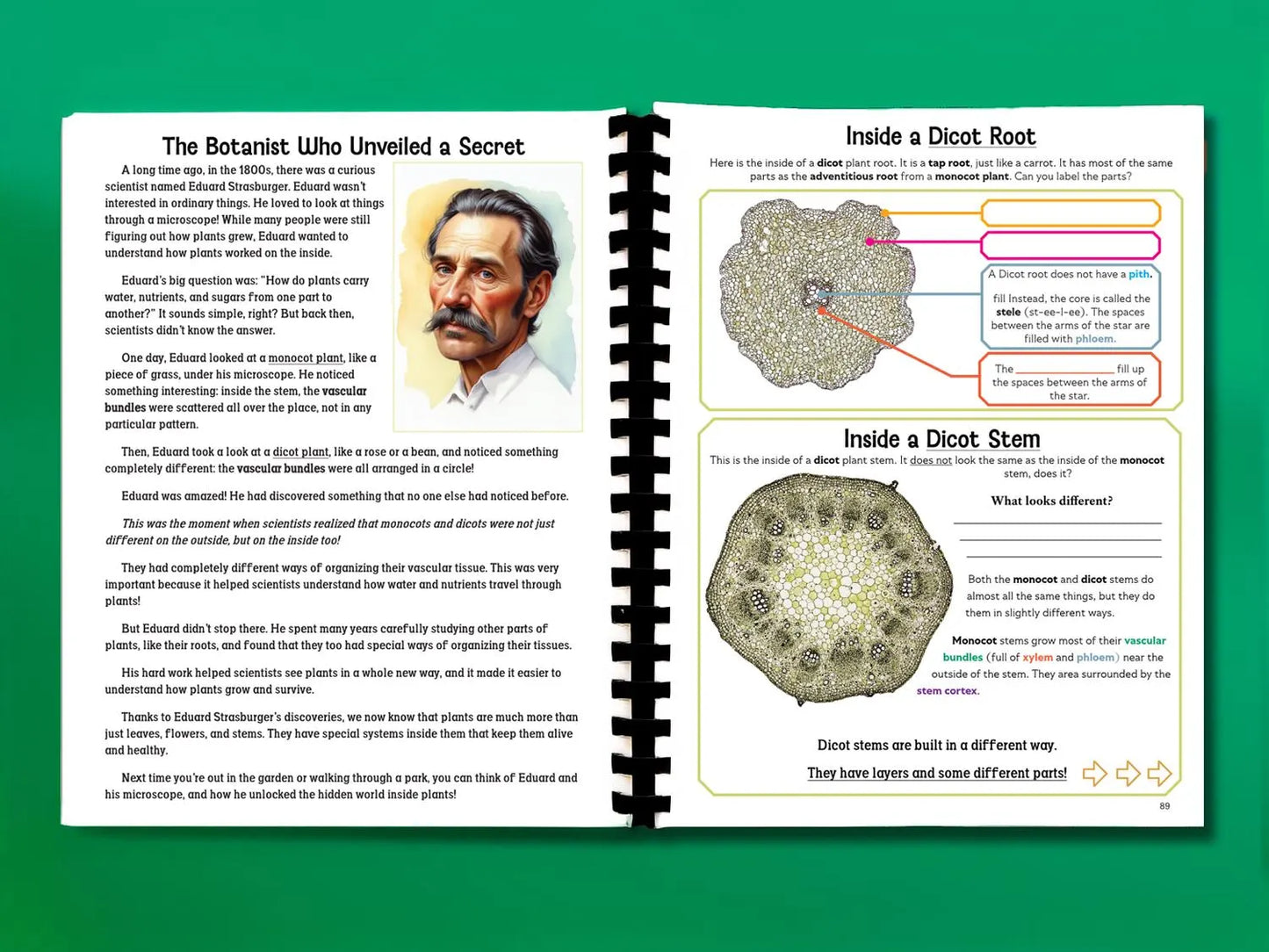 Botany Workbook for Homeschoolers - Grades 5β12 - Creative, Credit-Worthy Plant Science - Homeschool Middle School - Neurodivergent Friendly