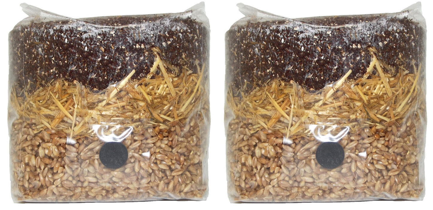 All in One Mushroom Grow Bag 2-Pack) | For Dung Loving Mushrooms | Ready To Use