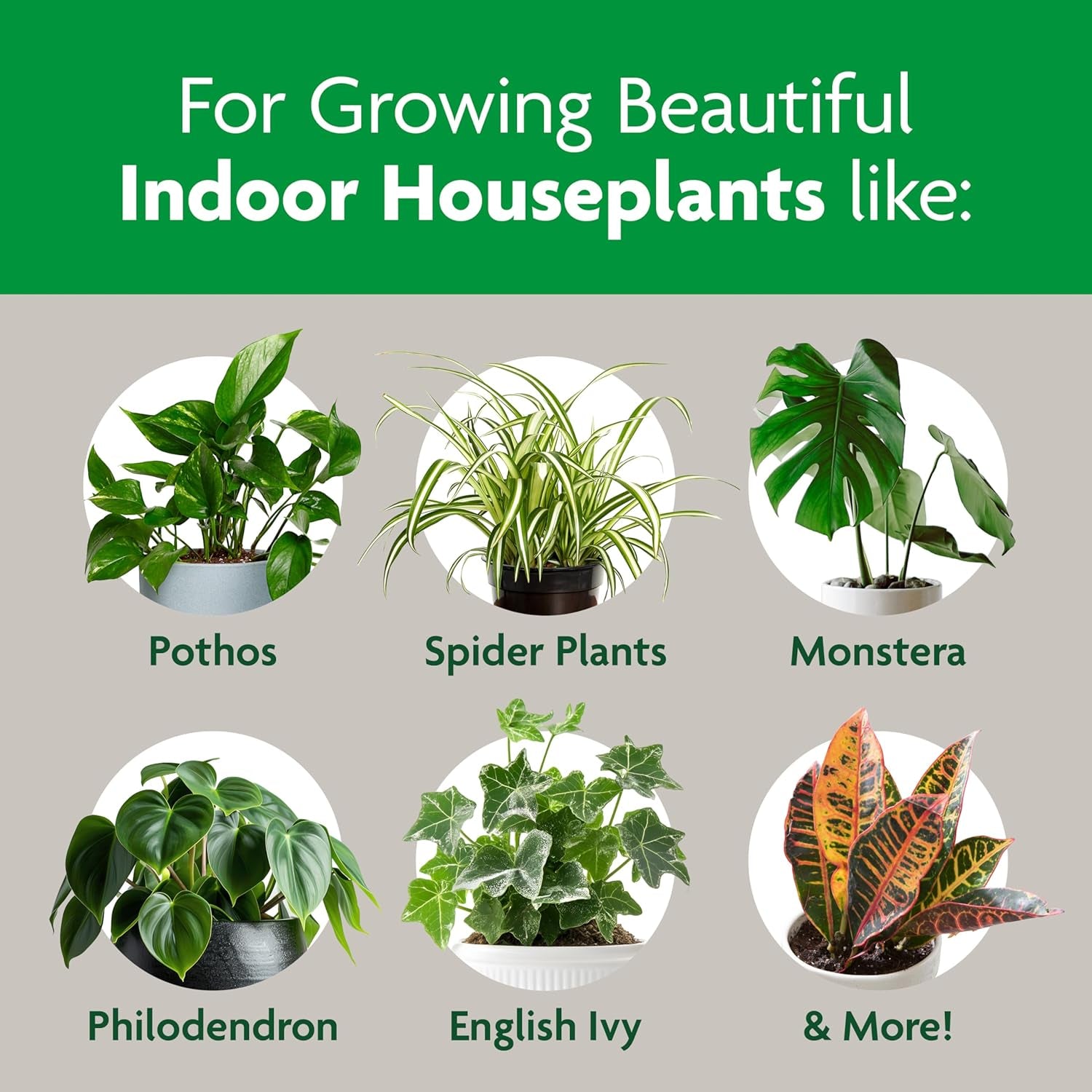 Indoor Potting Mix, Blended for a Variety of Houseplants, Feeds for up to 6 Months, 6 qt., 2-Pack