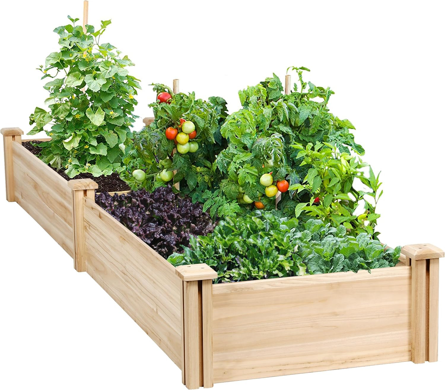 8×2ft Wooden Horticulture Raised Garden Bed Divisible Elevated Planting Planter Box for Flowers/Vegetables/Herbs in Backyard/Patio Outdoor, Natural Wood, 95 x 25 x 11in