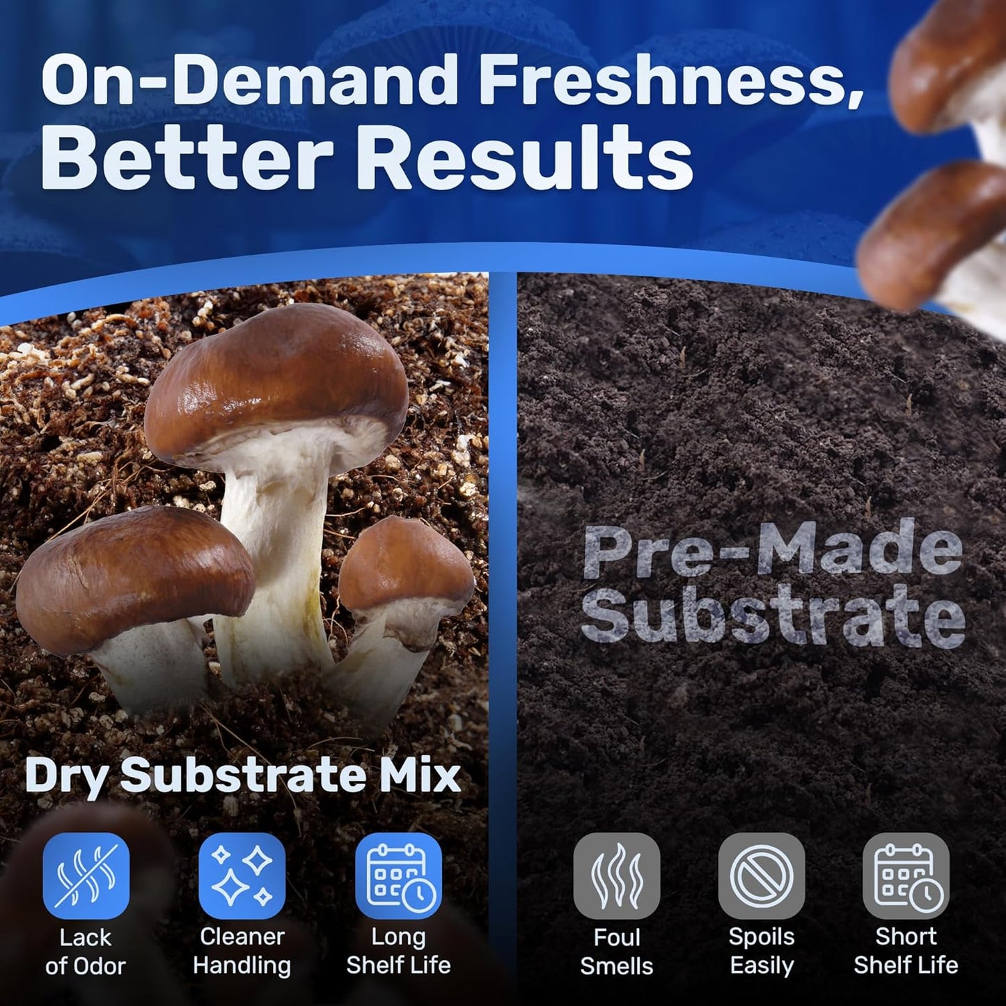 Dry Mushroom Substrate Mix | Produces 10 Pounds of Pasteurized Bulk Substrate | CVG Blend (Coco Coir, Vermiculite, Gypsum)