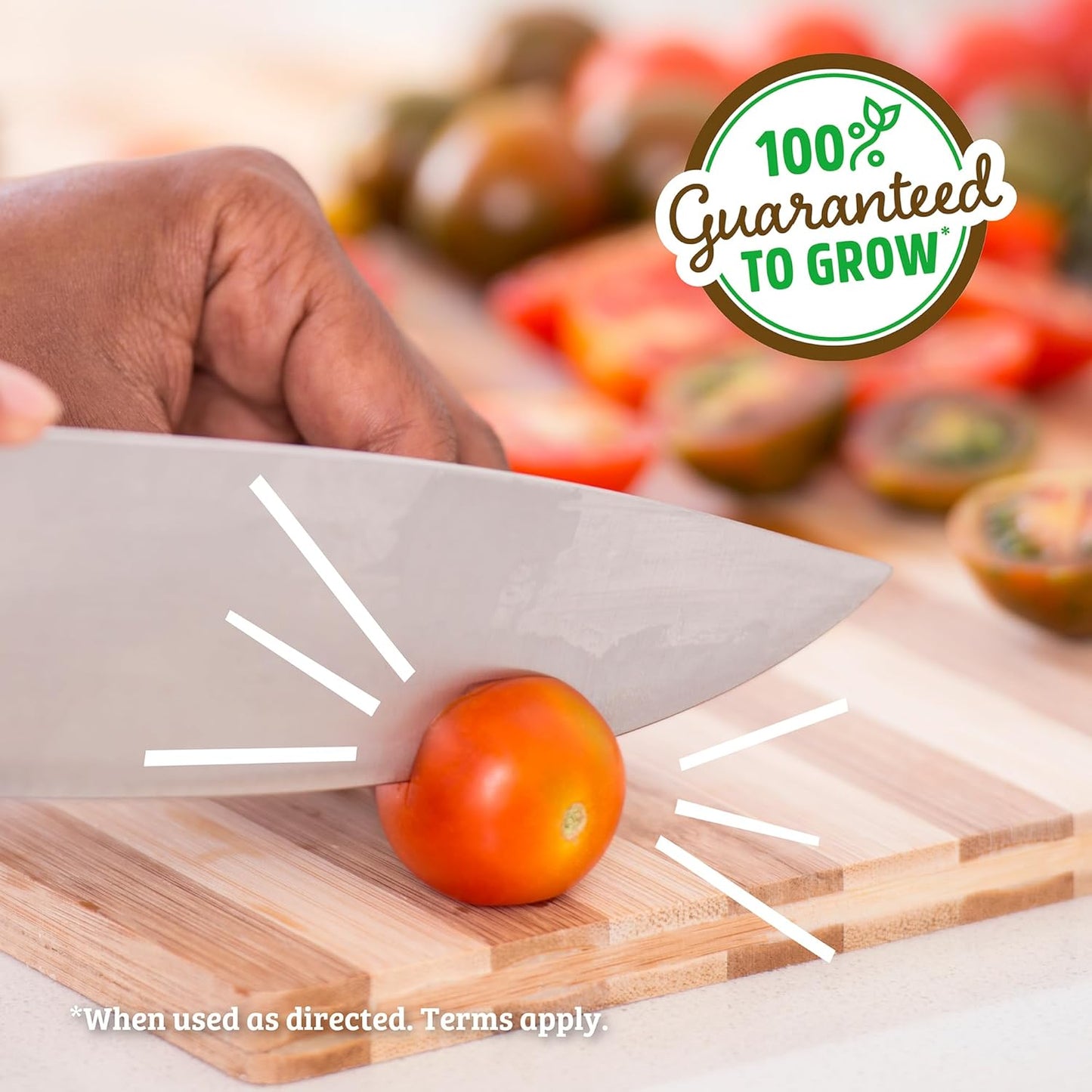 Cherry Tomato Organic Windowsill Planter Kit - Grows Year Round, Includes Everything Needed for Planting