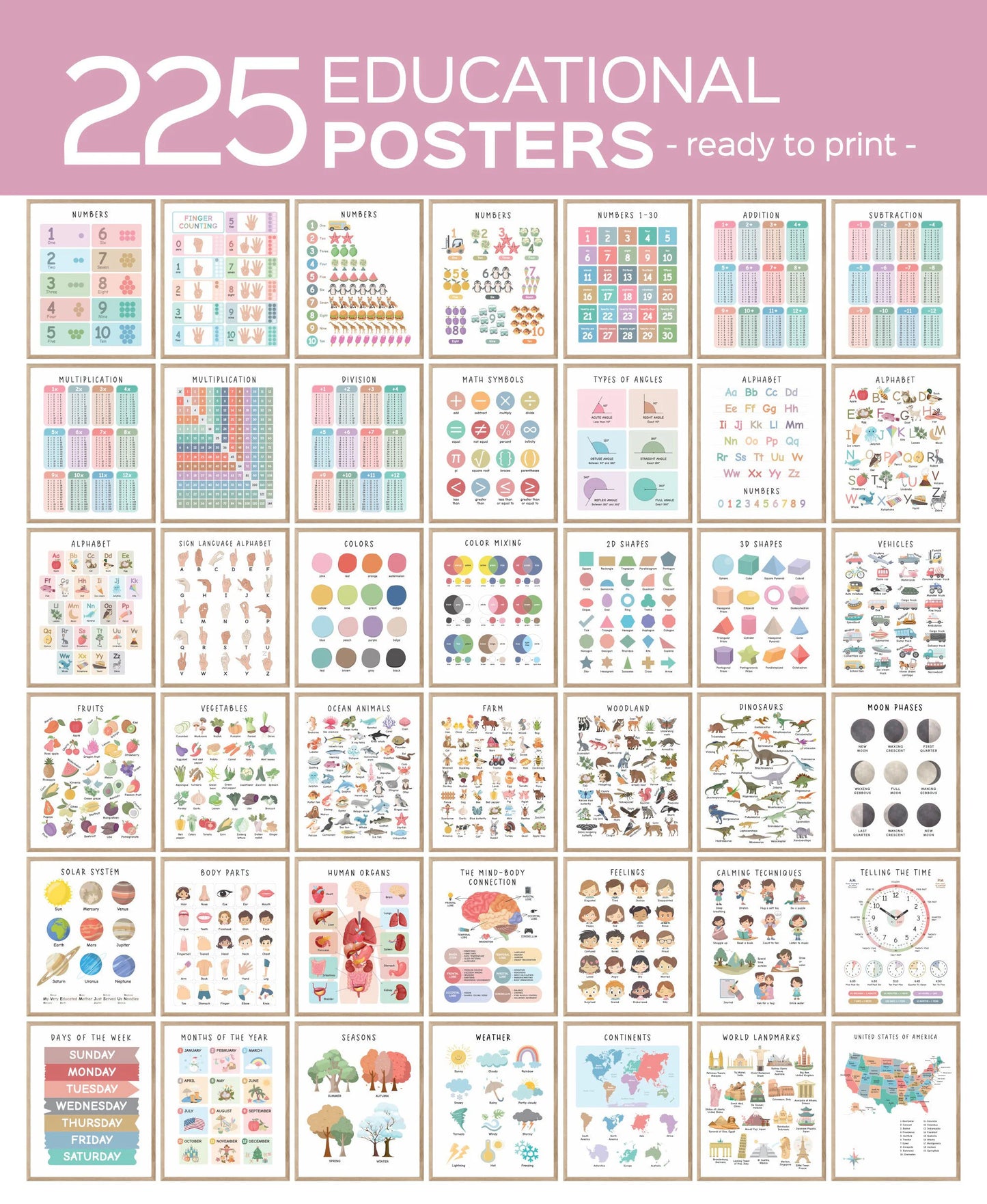 Set of 225 Educational Posters, Neutral Montessori Classroom Decor, Playroom, Homeschool Learning Prints, Homeschool Printable Toddler