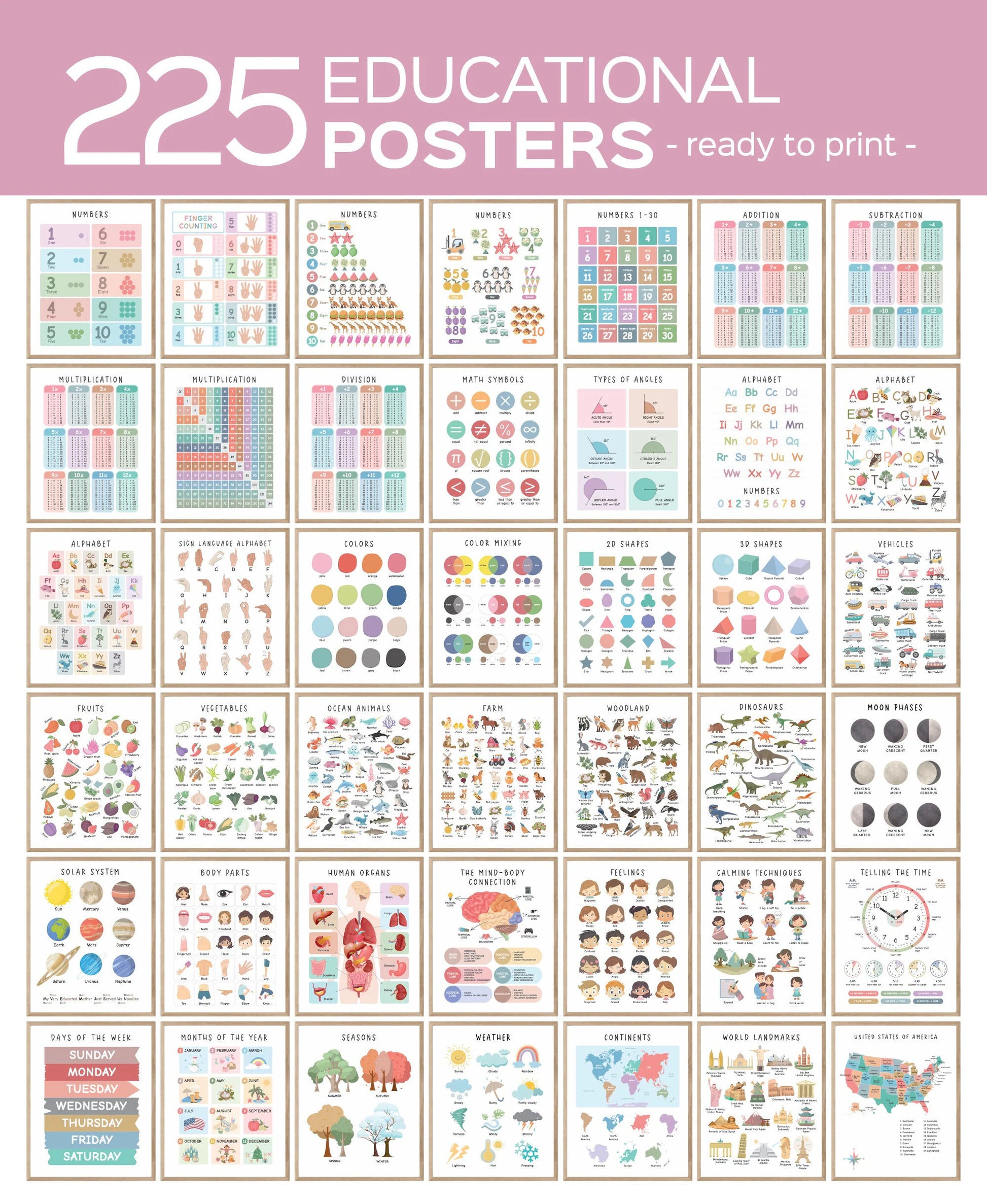 Set of 225 Educational Posters, Neutral Montessori Classroom Decor, Playroom, Homeschool Learning Prints, Homeschool Printable Toddler