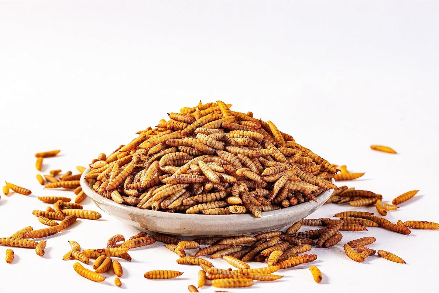 Dried Black Soldier Fly Larvae (10lb), 100% Natural Non-GMO, Treat for Chickens, More Calcium Chicken Feed Than Mealworms