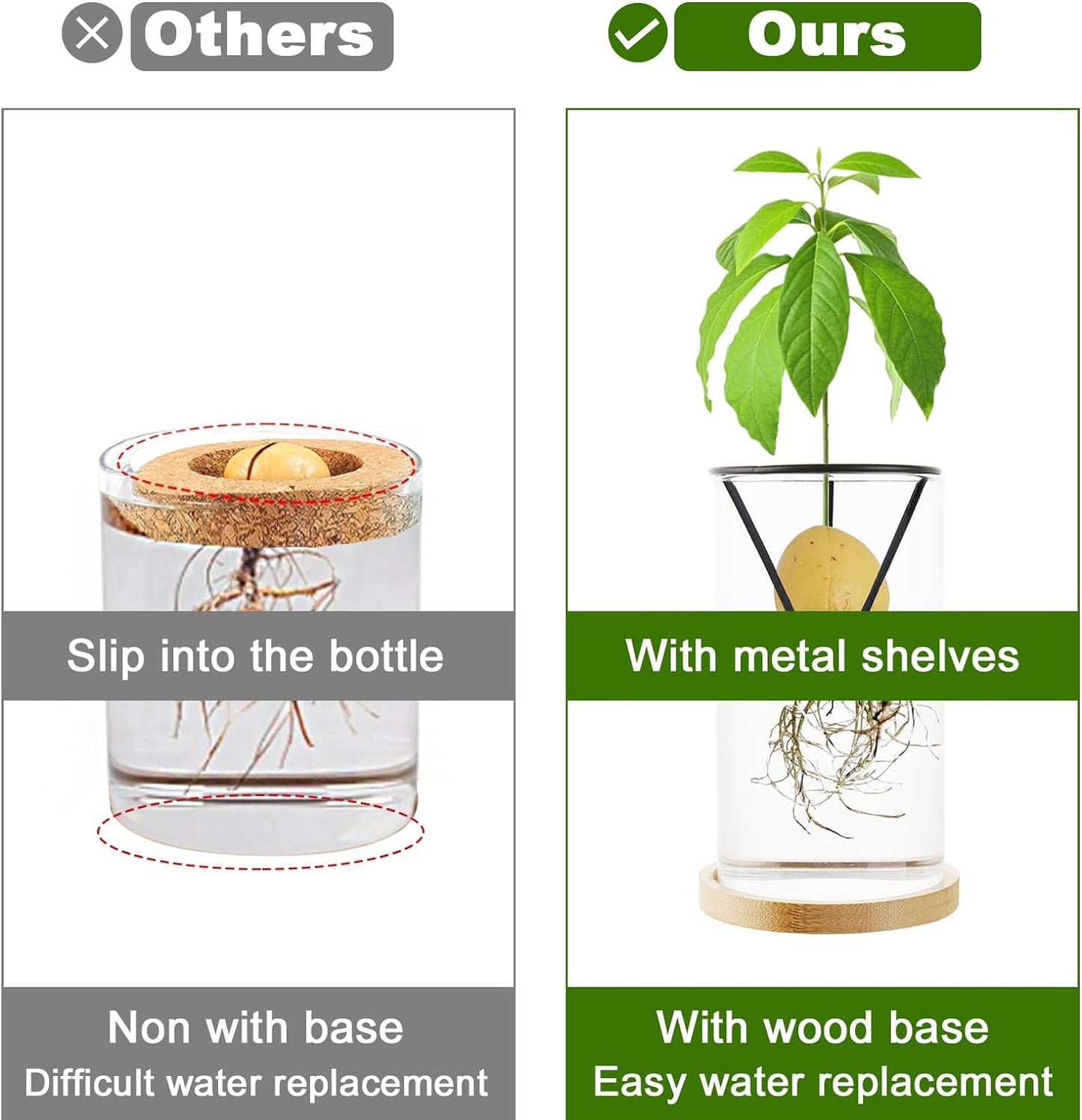 Avocado Tree Growing Kit 2PCS Avocado Growing Vase Seed Starter Wooden Base Avocado Glass Plant Pot for Gardening Enthusiasts