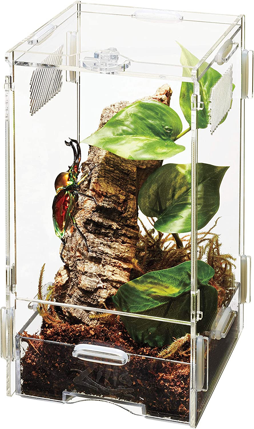Micro Habitat Terrarium Enclosure for Small Tree Dwelling Reptiles, Amphibians, Spiders & Other Invertebrates, Small