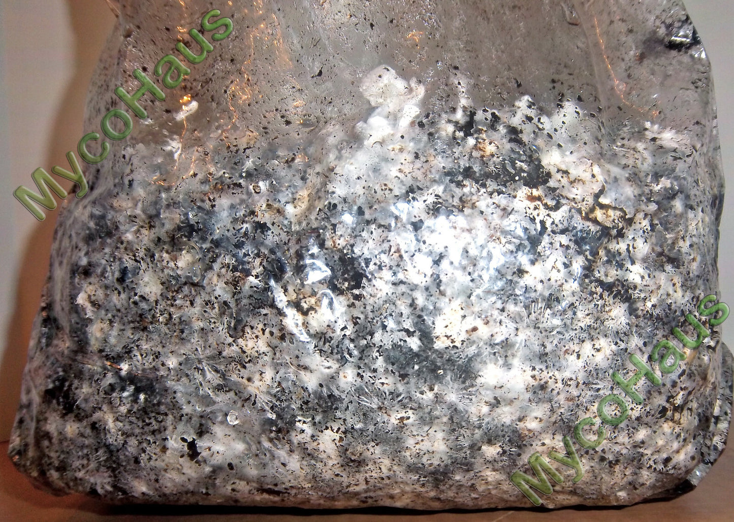 MycoHaus 2X Five LB Bags Sterilized Compost Bulk Mushroom Substrate Grow Kit