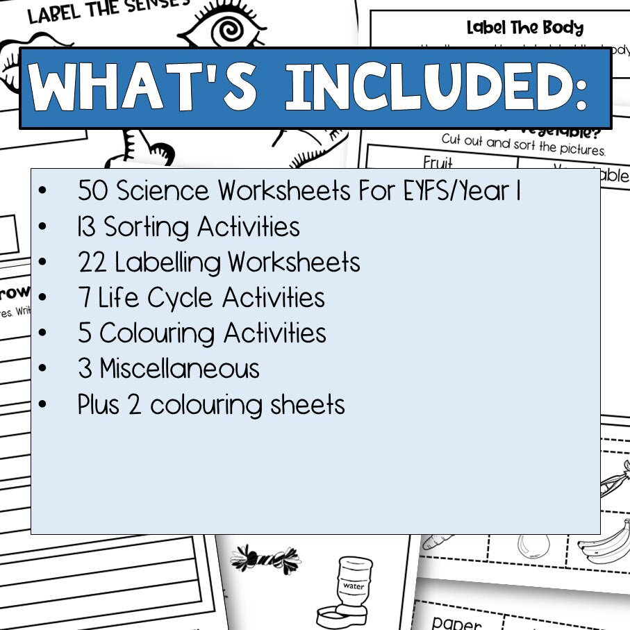 Science Worksheets For Kindergarten And Homeschool