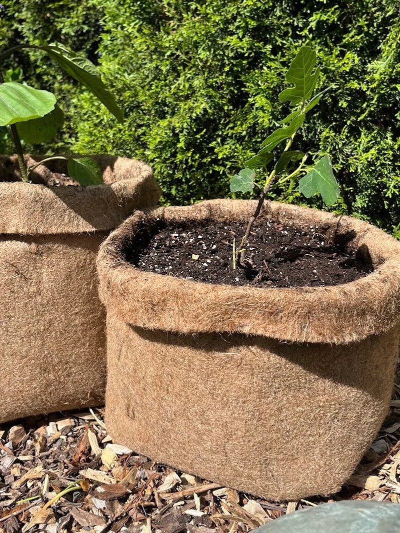 Hemp Material Pot Planter: Eco-Friendly Grow Bag