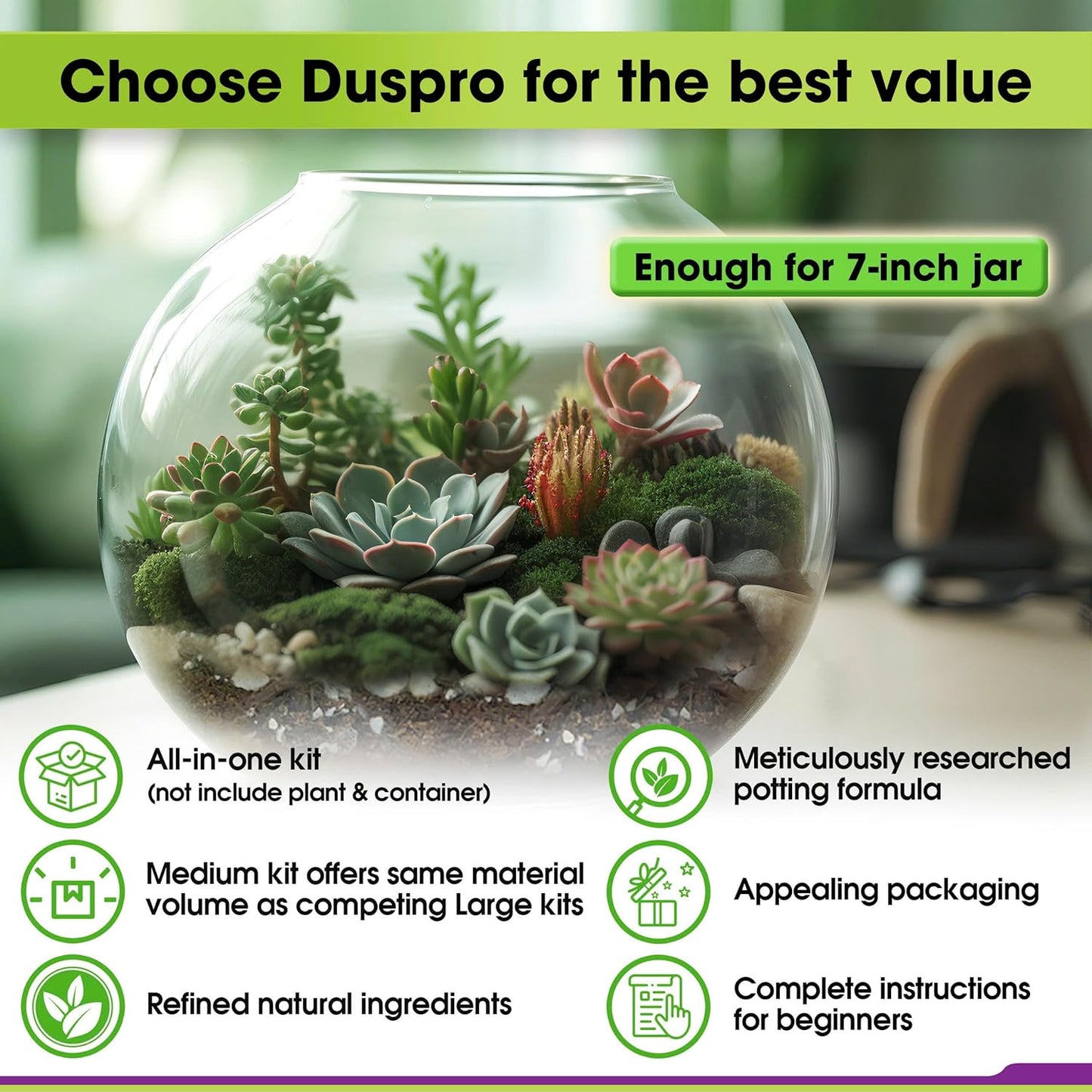 Recycle Terrarium Kit, Include Terrarium Potting Soil, Pumice, Zeolite, Green Moss, Sphagnum Moss, Decorative Stone, Mesh, Tools, DIY Terrarium Starter Kit for Kids, Air Plant, Succulent