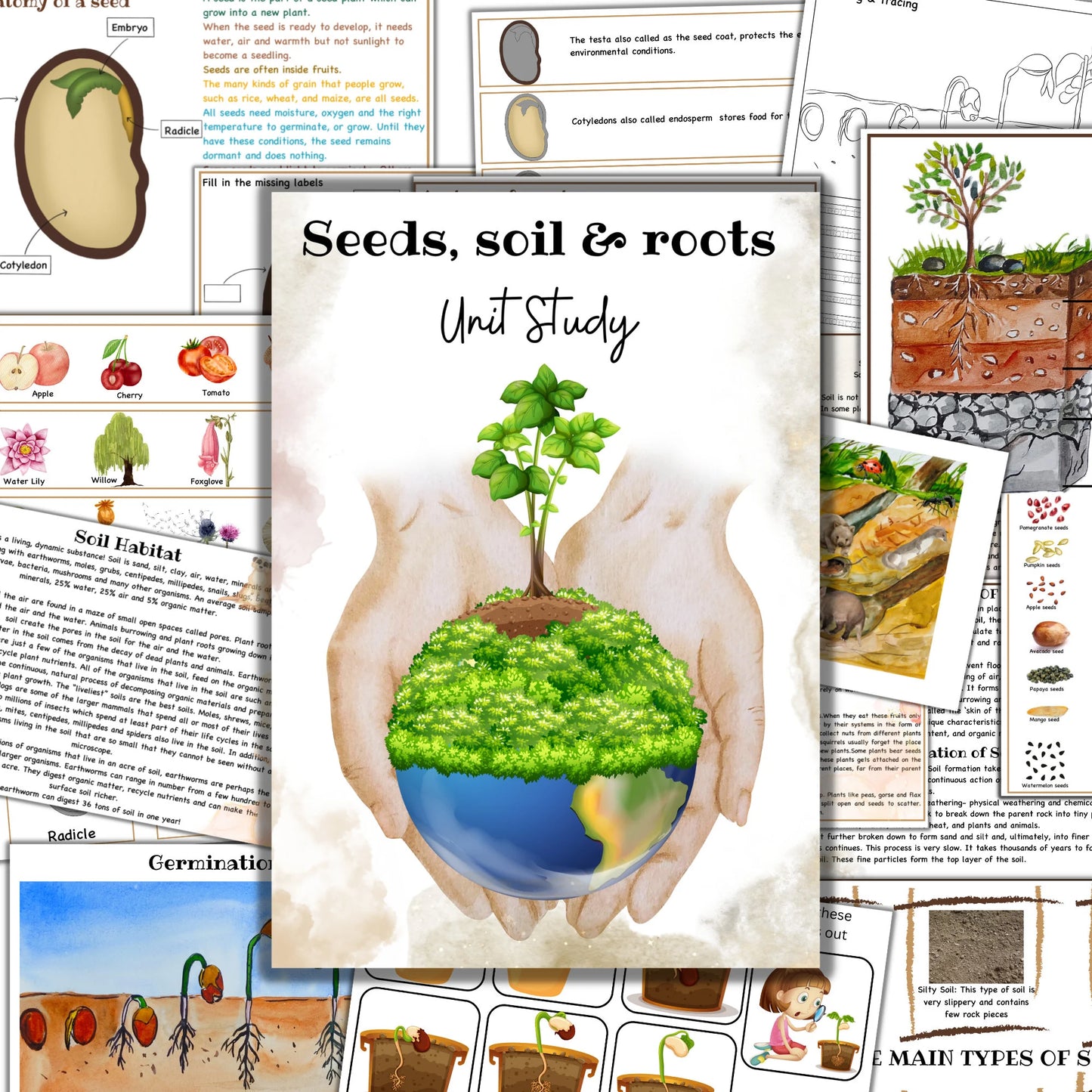 Garden unit study, Roots anatomy, seed anatomy, soil layers, roots montessori 3 part cards, types of soil,germination activity, spring unit