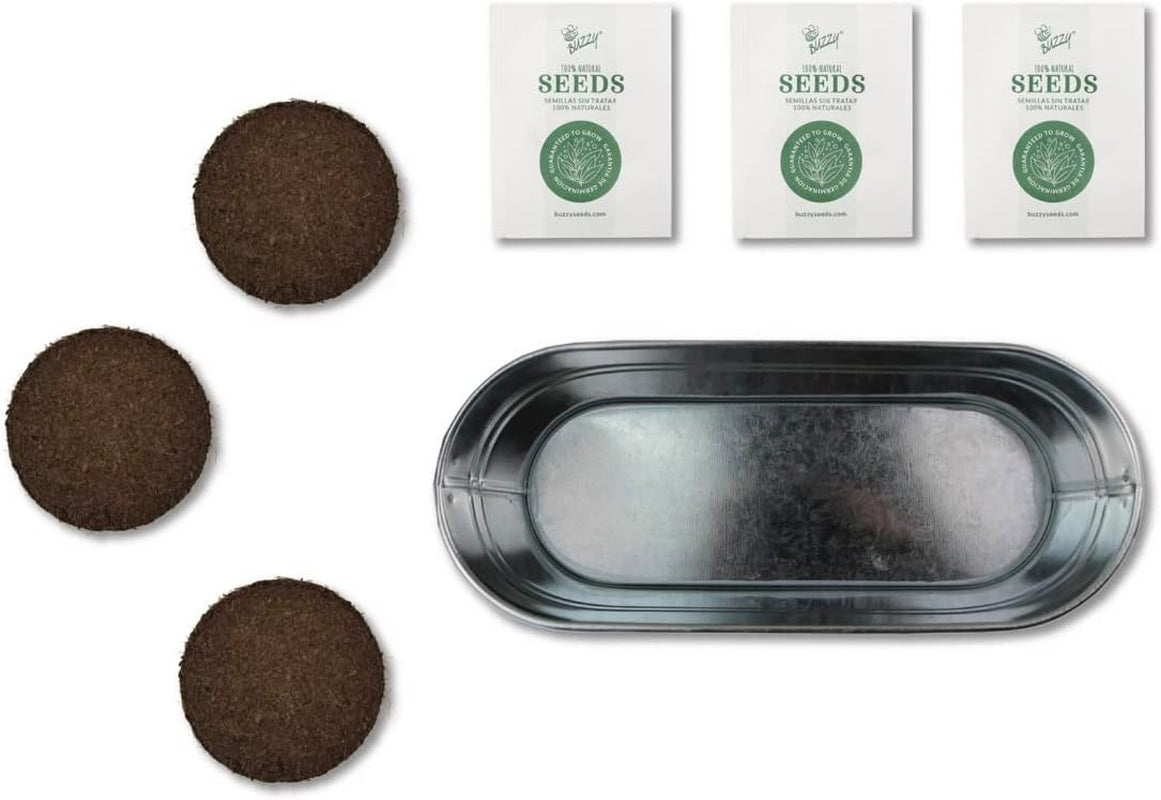 Organic Windowsill Grow Kit | Kitchen Herbs: Basil, Cilantro, and Chives Starter Kit for Kids & Adults | Guaranteed to Grow | Best Indoor-Outdoor Gardening Gift