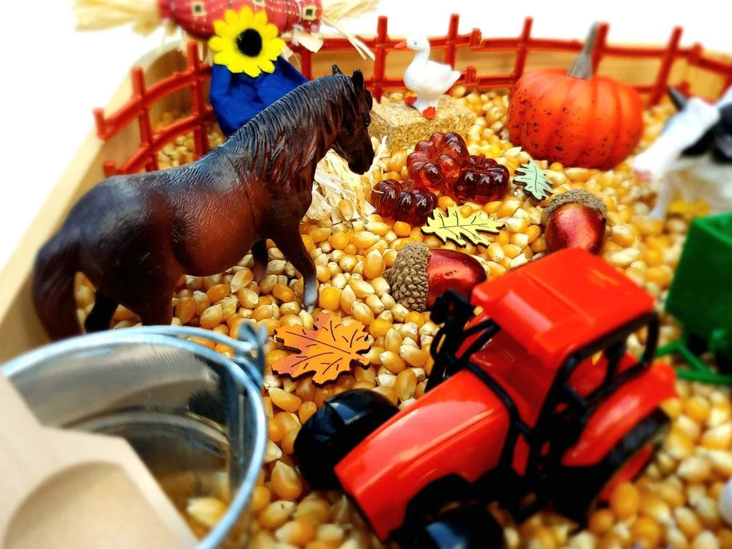 Fall Sensory Bin, Farm Sensory Bin, Toddler Sensory Activity, Preschool Classroom Favors, Thanksgiving Gifts for Kids, Montessori Toy