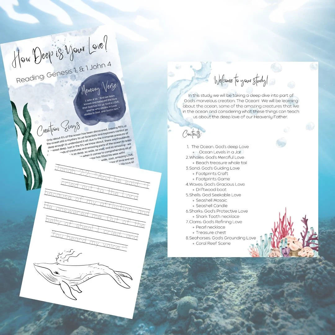 Summer Collection homeschool curriculum, nature study unit, morning time bundle, charlotte Mason inspired, ocean, firefly, sunflower lesson