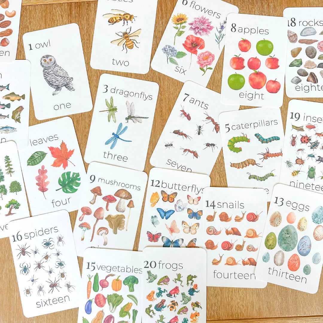 Nature Number Cards 1-20 Classroom Math Counting Cards Nursery Wall Art Montessori Pre K Homeschool Activities Classroom Nature Aesthetic