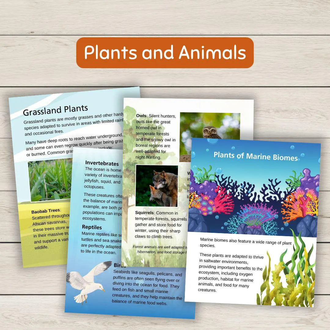 Biomes Unit Study Worksheets, Activities, with Geography and Climate, Plants and Animals Homeschool Science (mega unit!)
