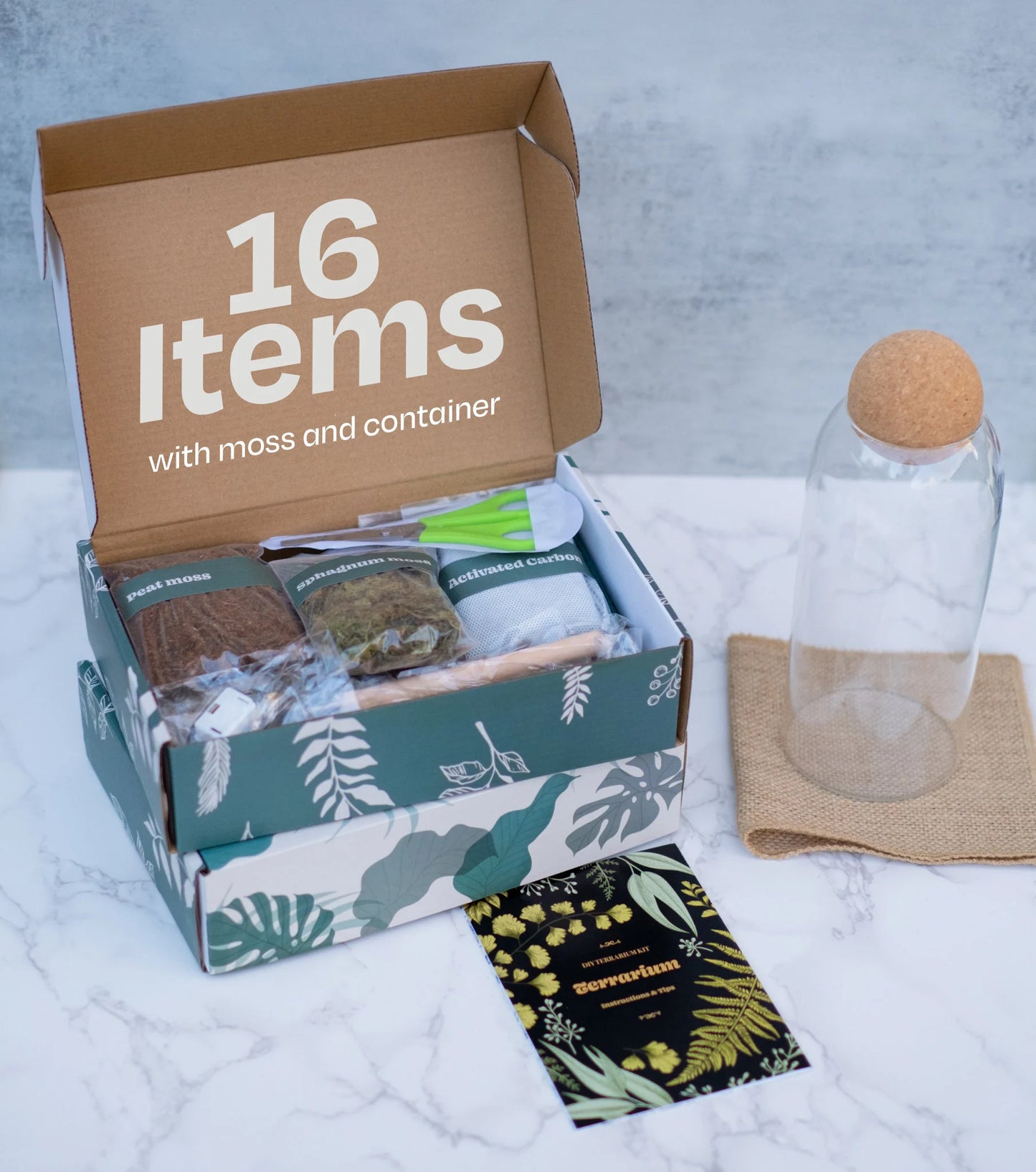 Complete Closed terrarium kit with live plants and live moss, bioactive terrarium, sealed terrarium kit / science kit for kids, mothers day