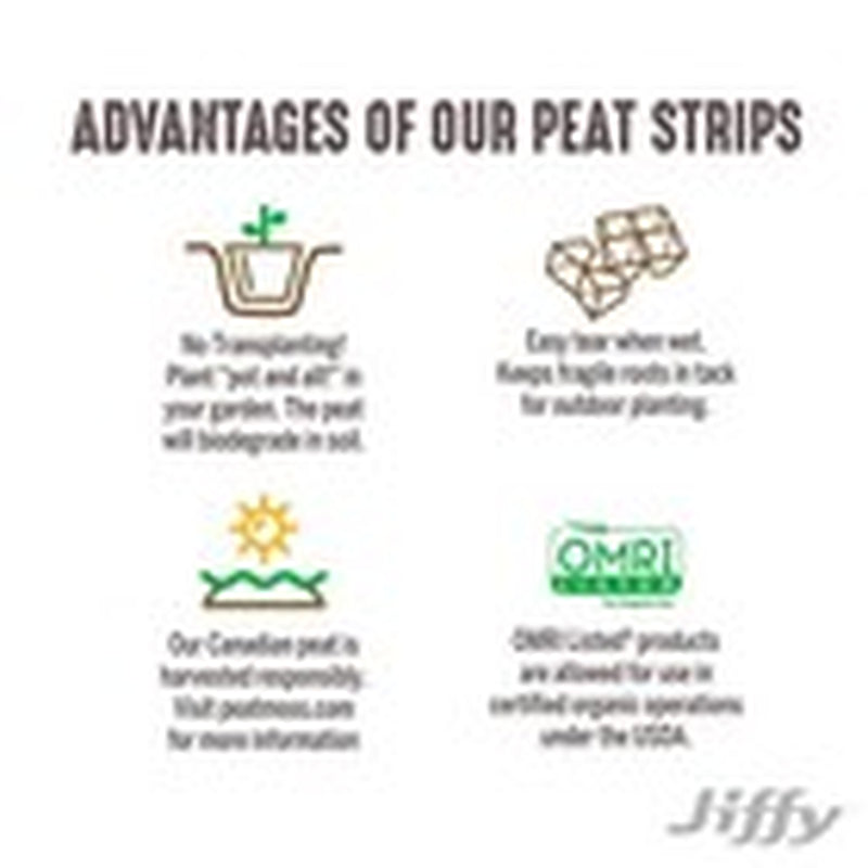 Peat Strips Seed Starter Kit , 50 Pots , Jiffy