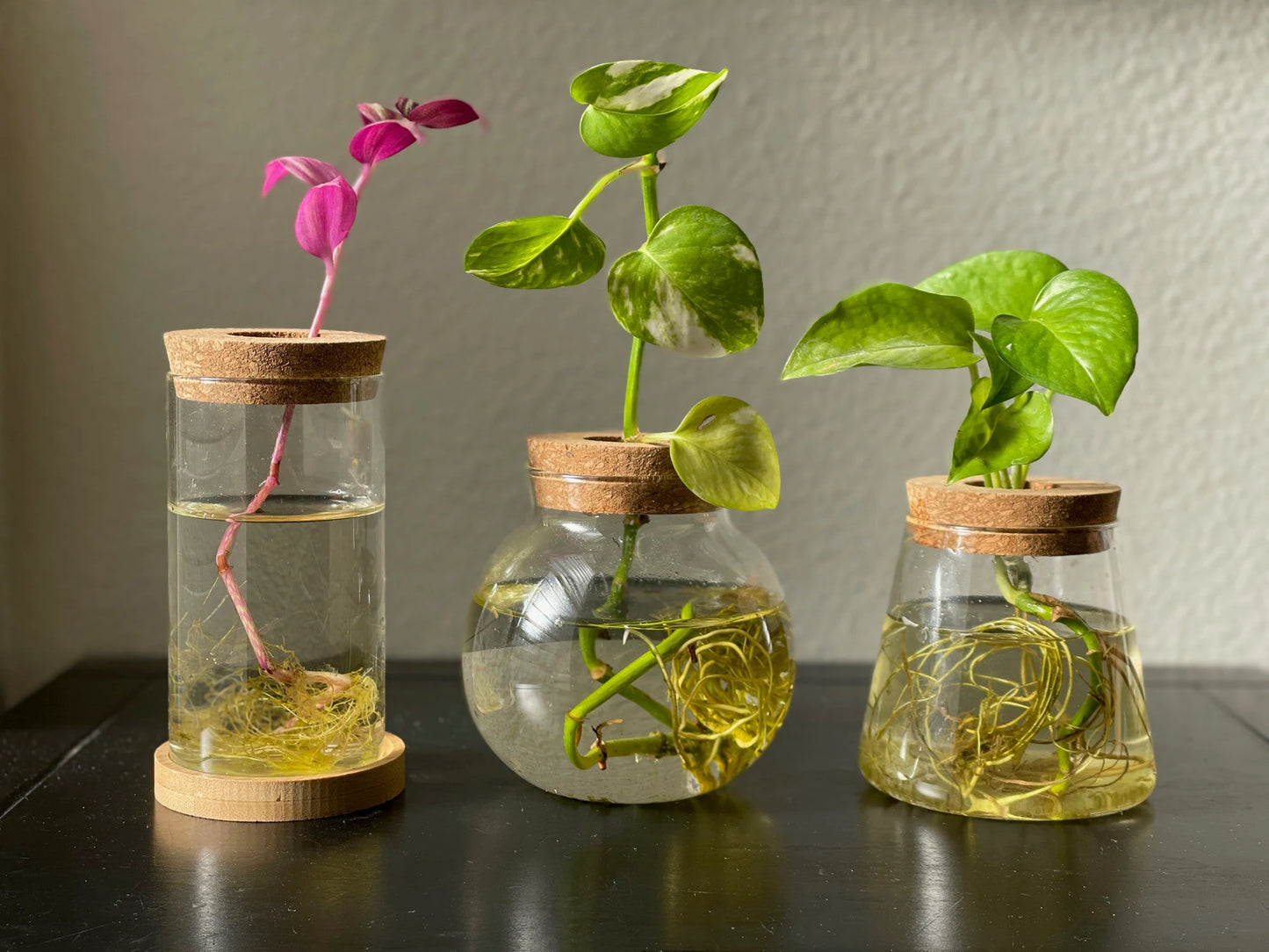 Propagation Jar Hydroponic Vase Cork Lid Plant Terrarium
