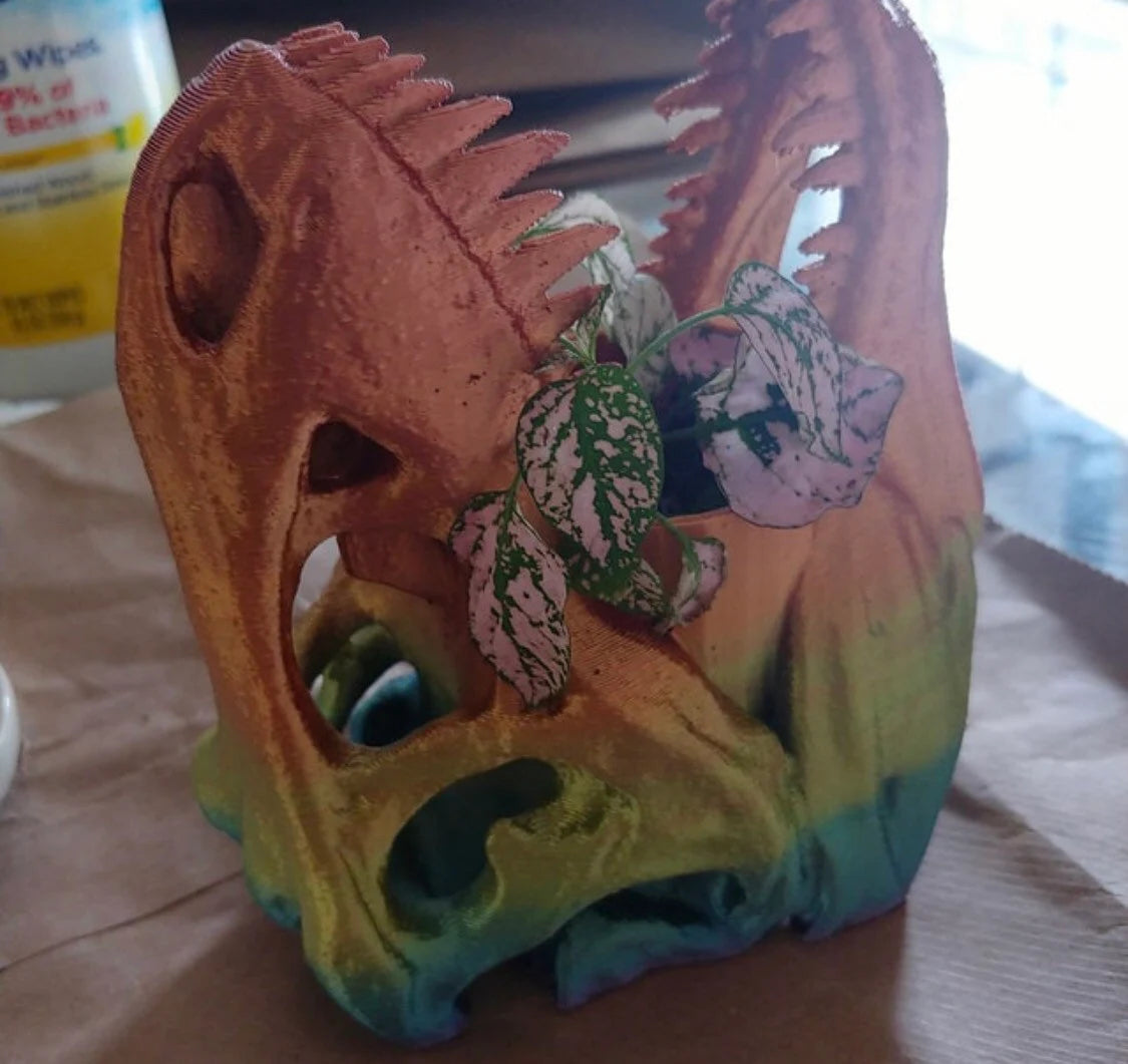 T-Rex Planter, Dinosaur Plant Pot, Dino Skull Planter, Fossil Planter, T-Rex Desk Décor, Dinosaur Skull Pot, Dino Succulent Pot, Dino Pot