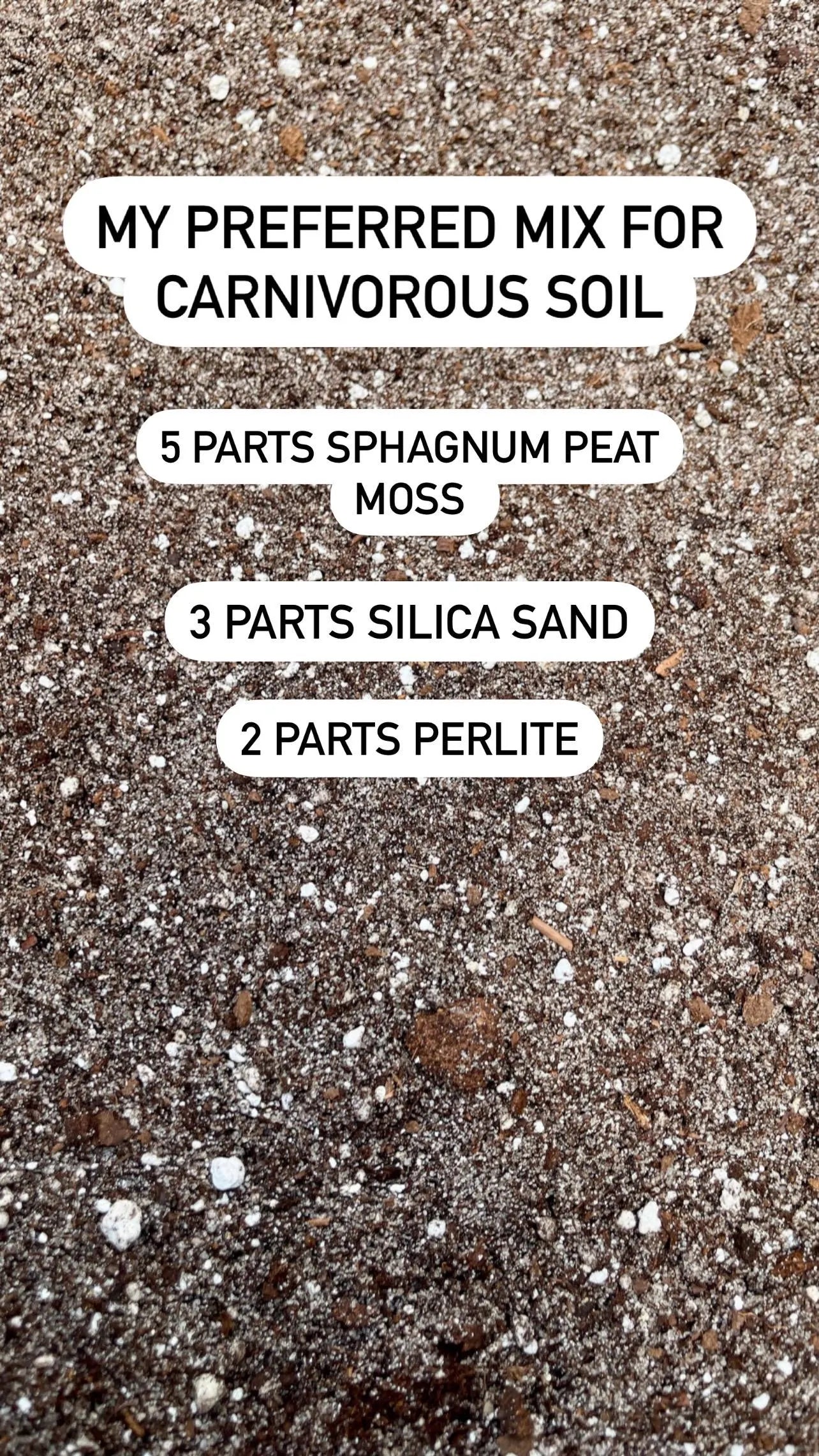 Carnivorous Plant Soil Mix - Quart Size | Peat Moss, Silica Sand & Perlite | Ideal for Venus Flytraps, Pitcher Plants, Sundews