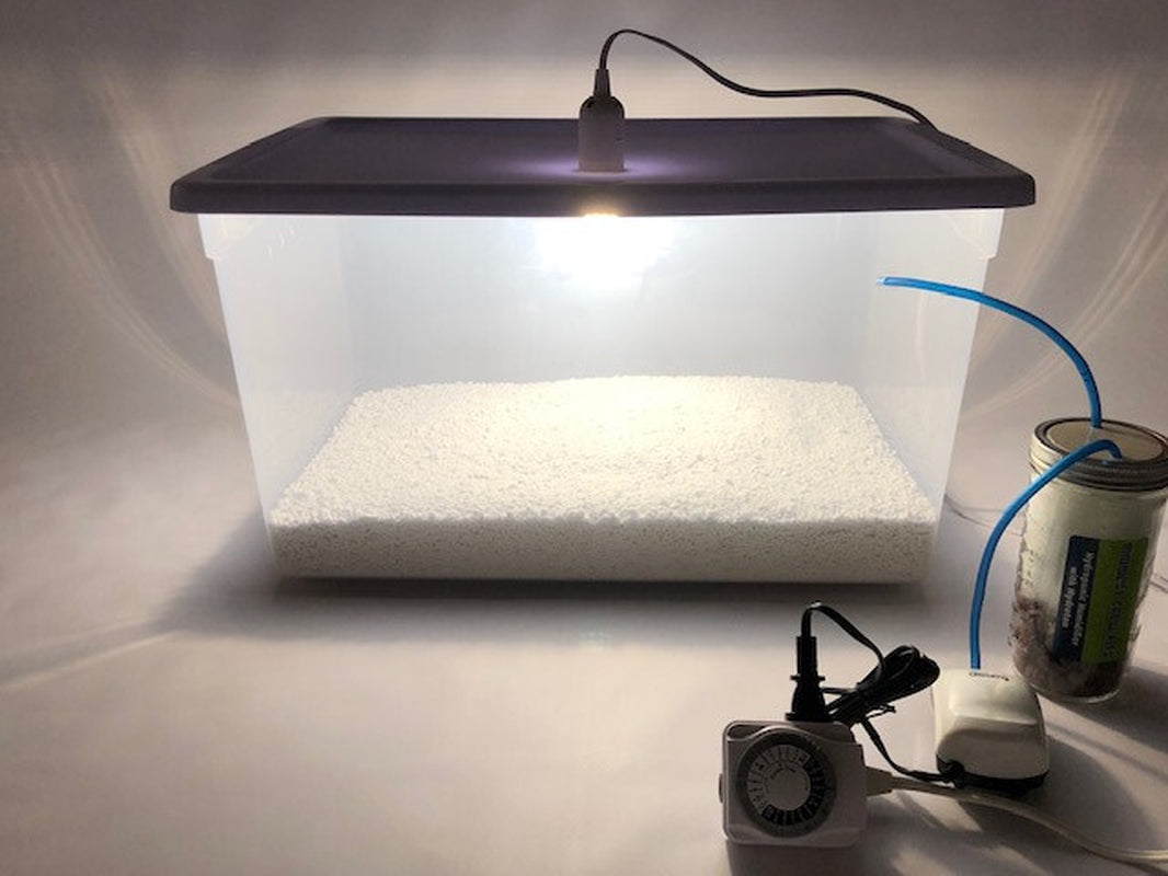 Mega Mushroom Growing & Incubator Kit | Fully Automated | 18 Sterilized Jars
