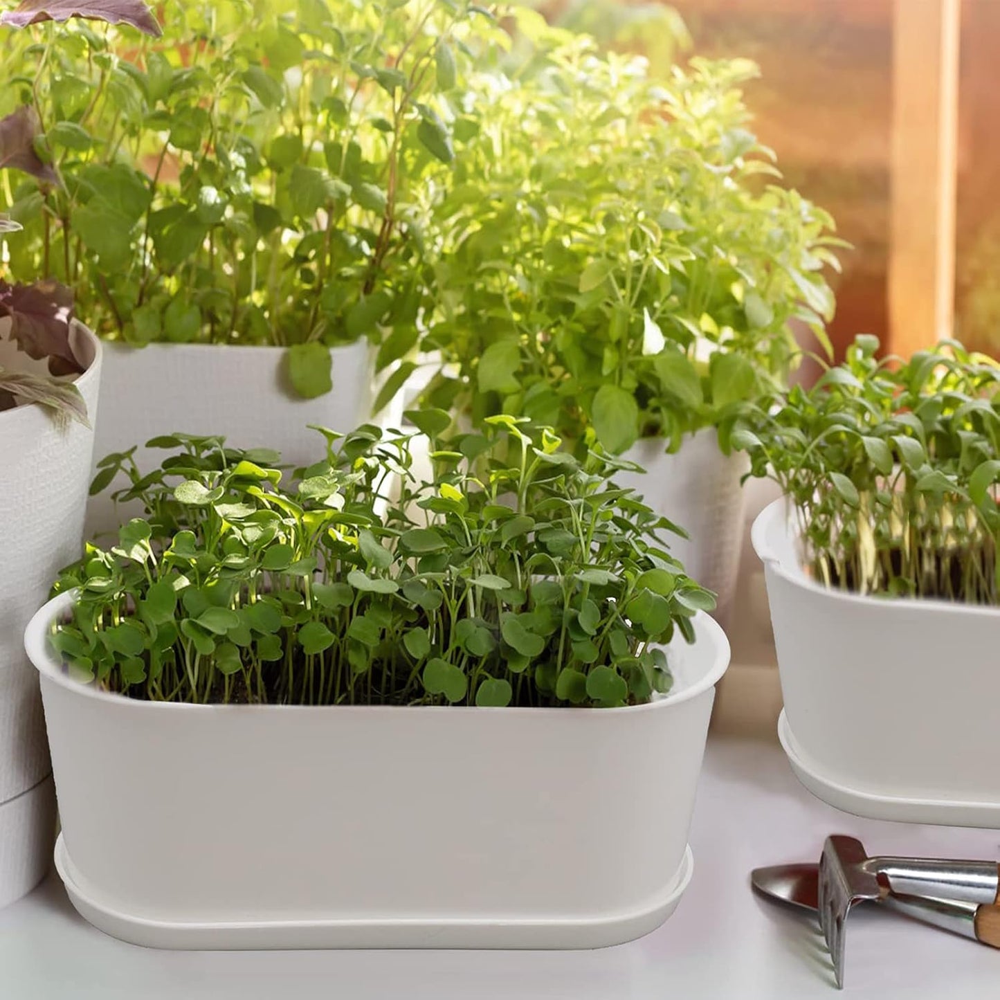 10-Pack Herb Planter with Saucer for Plant Window Box, Plastic Planter with Multiple Drainage Holes and Tray for Home Garden Succulents Modern Decorative Window Planter Box Flower Pots Gardening Pot