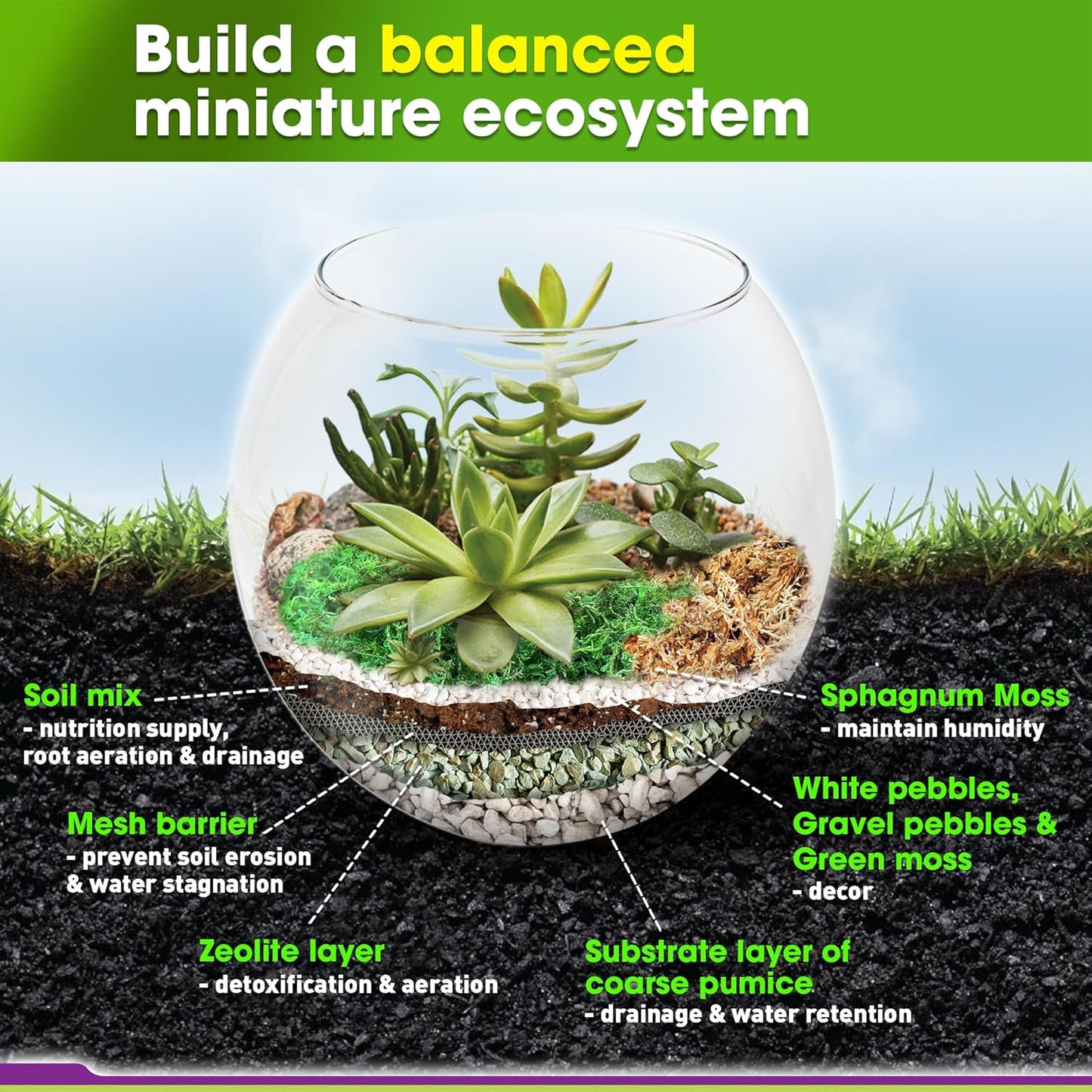 Recycle Terrarium Kit, Include Terrarium Potting Soil, Pumice, Zeolite, Green Moss, Sphagnum Moss, Decorative Stone, Mesh, Tools, DIY Terrarium Starter Kit for Kids, Air Plant, Succulent
