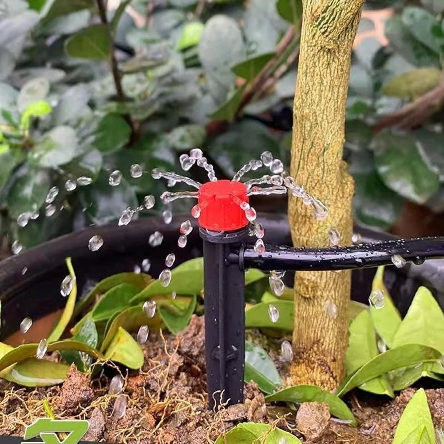 50pcs Drip Emitters for 1/4" Drip Irrigation Tubing, Adjustable 360 Degree Water Flow Drippers on 5" Arrow Stake, Garden Irrigation Drippers for (4-7mm) Watering System